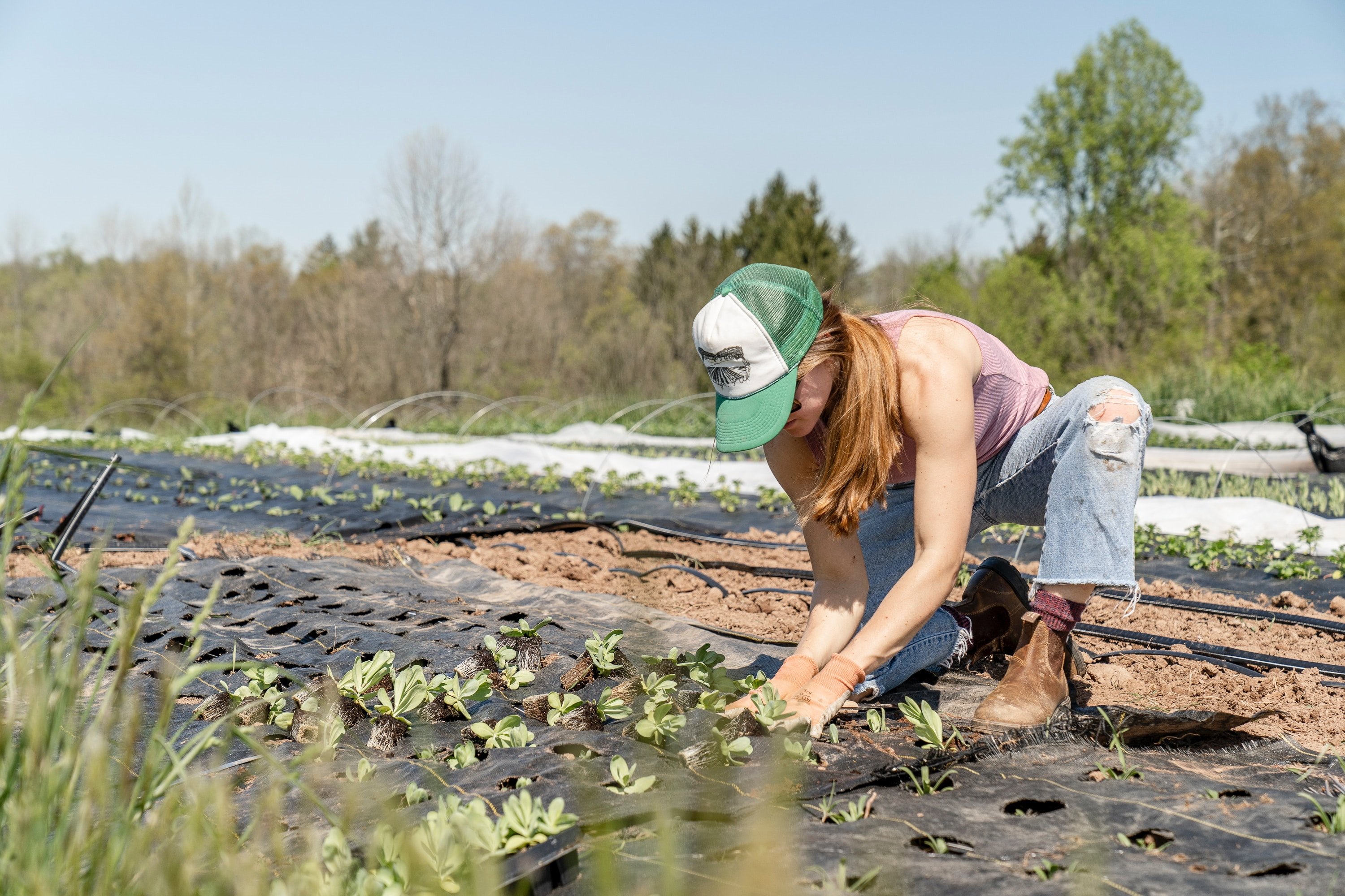 L'agricultura estira l'economia el primer trimestre de l'any