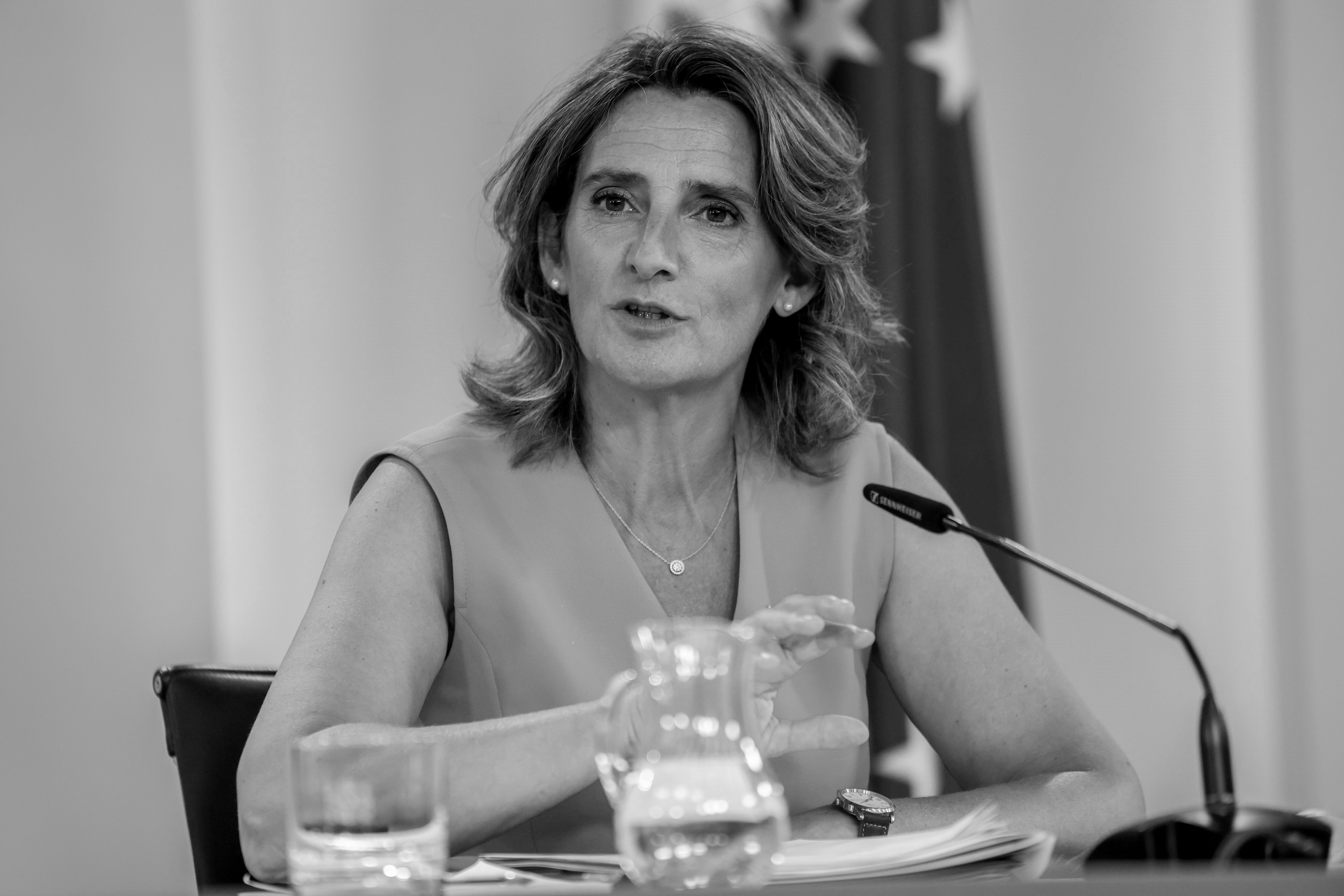 Teresa Ribera Teresa Ribera