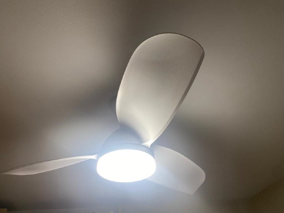 La fiebre por el ventilador de techo: gasta menos que el aire acondicionado