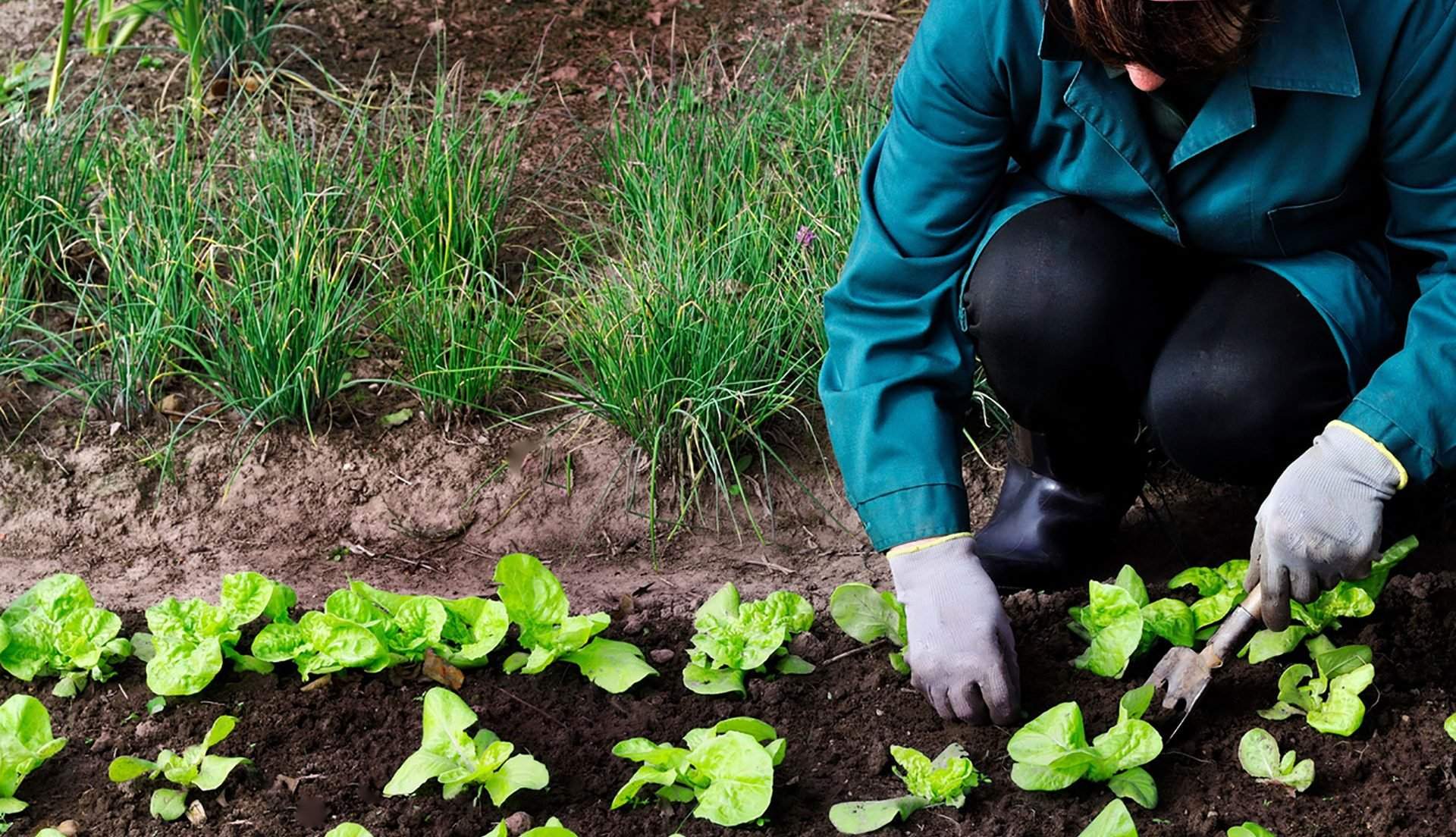 El ICF amplía en 35 millones los préstamos al sector agrícola y suma 55 millones desde enero