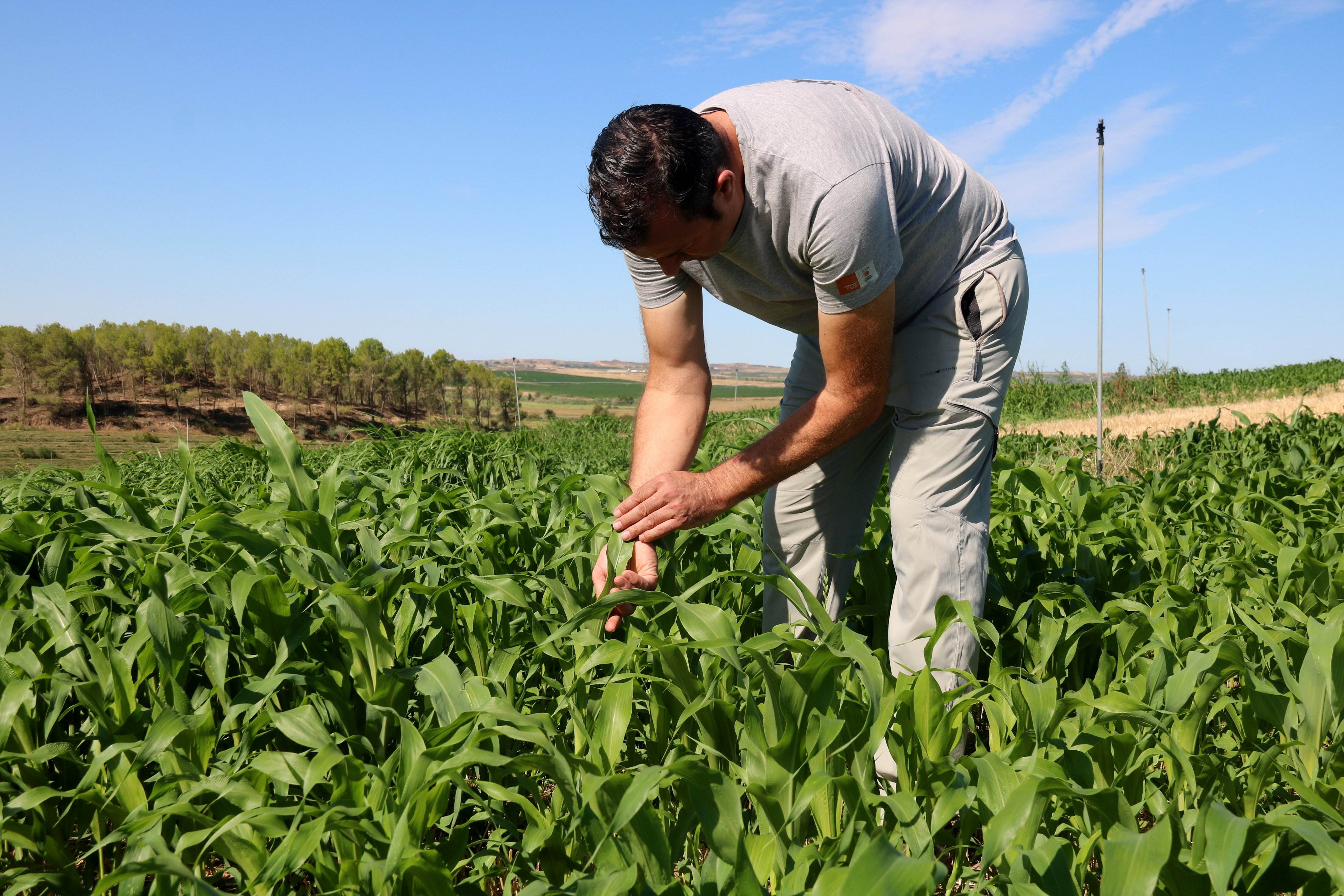 pagesos camp agricultores by Anna Berga /ACN