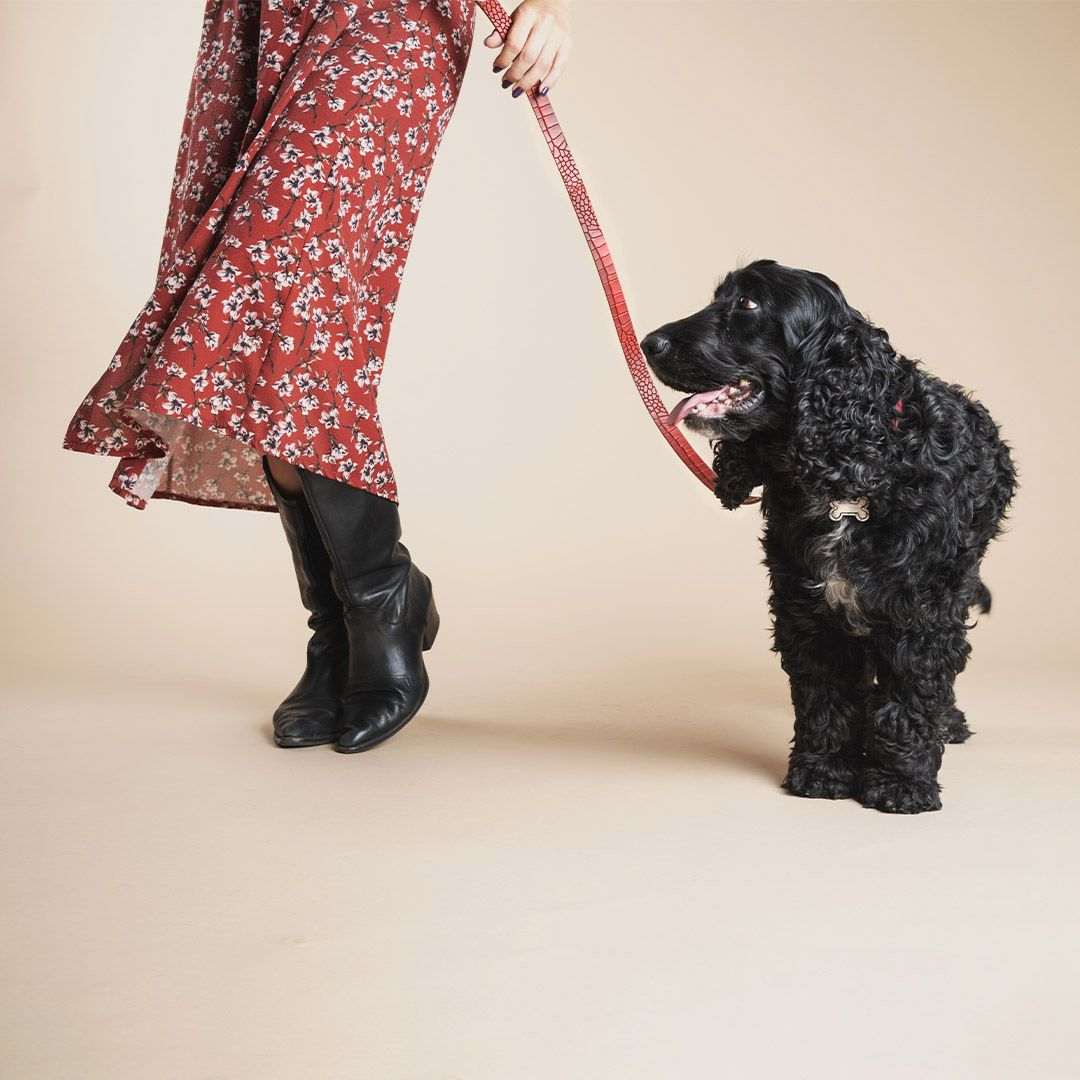 La marca italiana más pija de accesorios para mascotas se instala en Barcelona