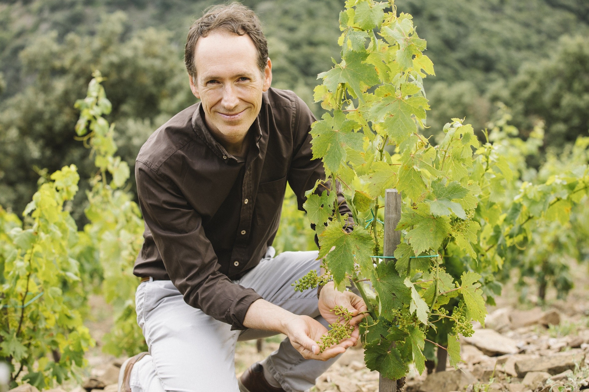 Las bodegas Torres fusionan sus distribuidoras para ahorrar costes
