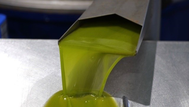 La producció d'oli d'oliva suma gairebé 830.000 tones en cinc mesos de campanya