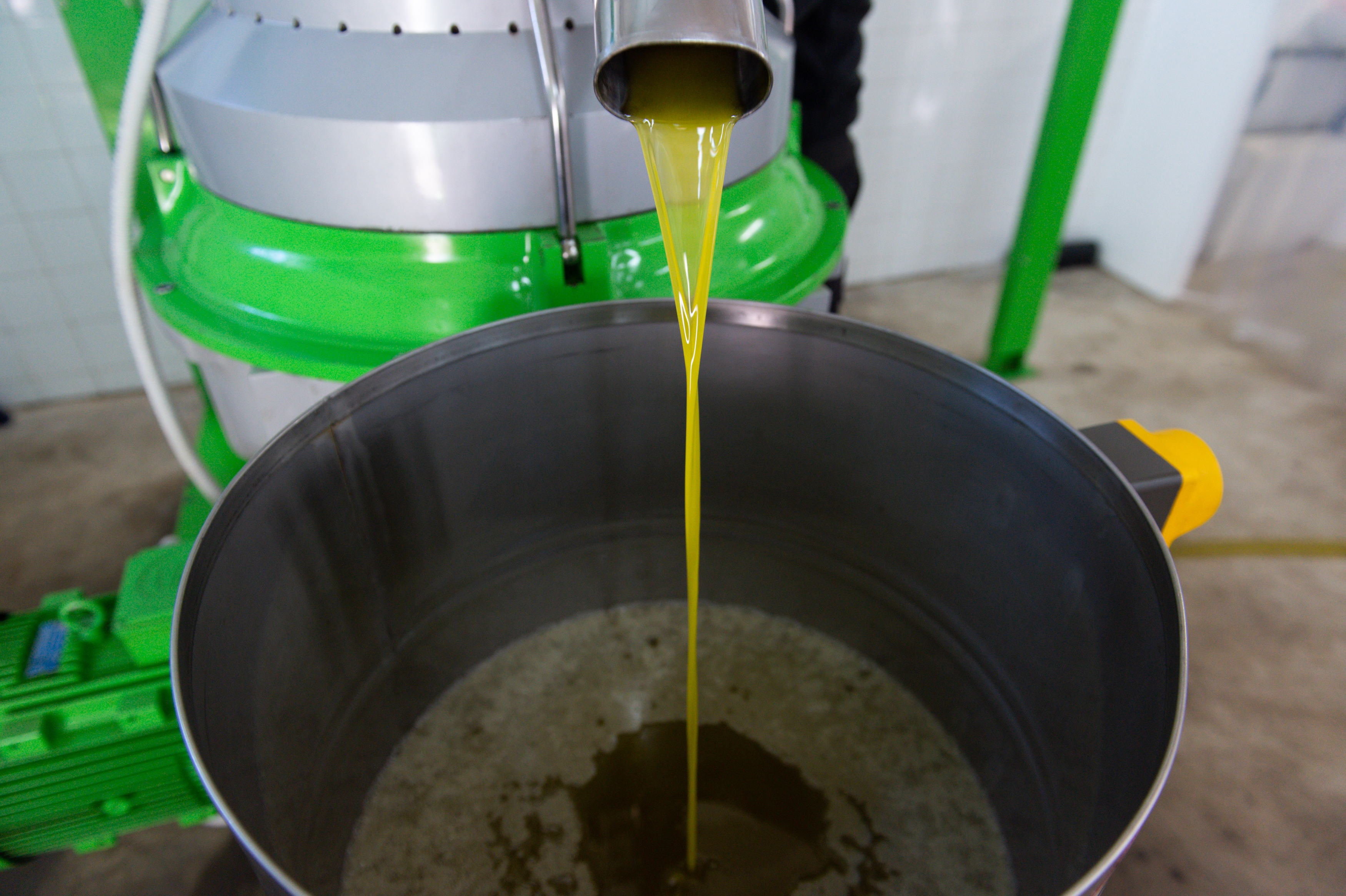 Las ventas de aceite de oliva caen un 37% en el primer mes de campaña