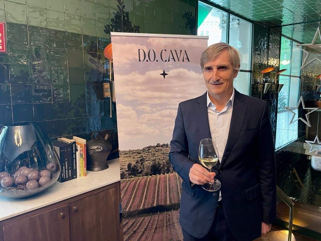 La DO Cava tanca la composició del ple per elegir president al juny