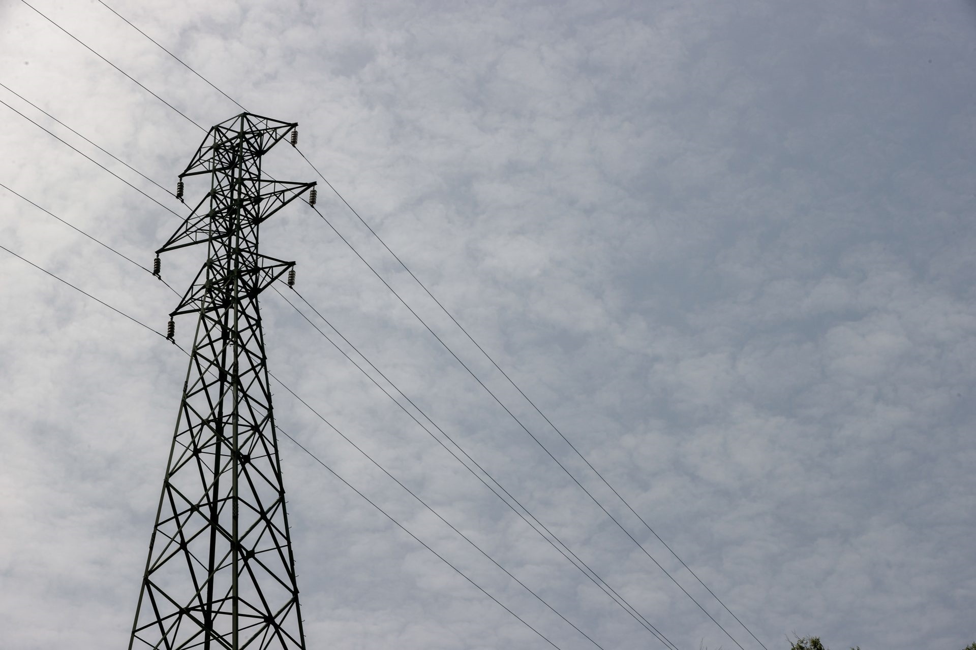 La electricidad pasará del 5% al 10% en 2024, todavía por debajo del 21% de antes de la crisis