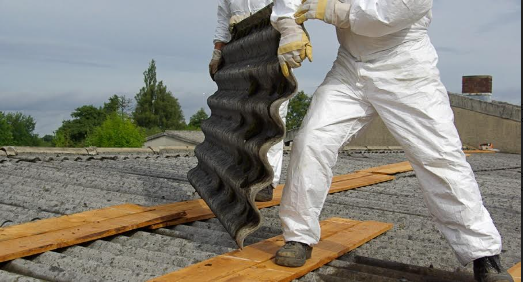 FireShot Capture 251   Redaccional ONLINE  Amiant  pel 15 de gener   adomingo@elnacional.cat    mail.google.com