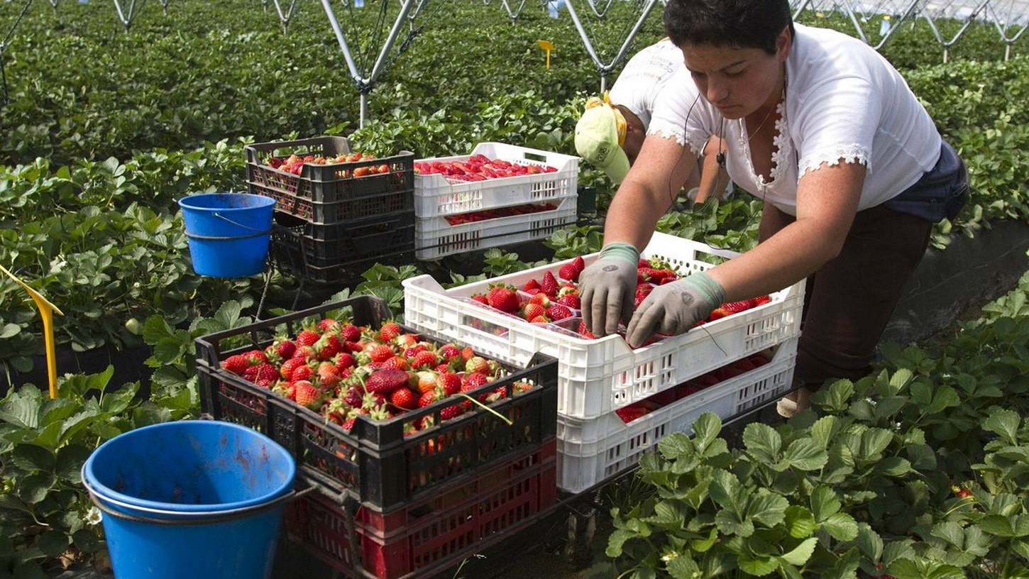 mujeres temporeras fresas efe