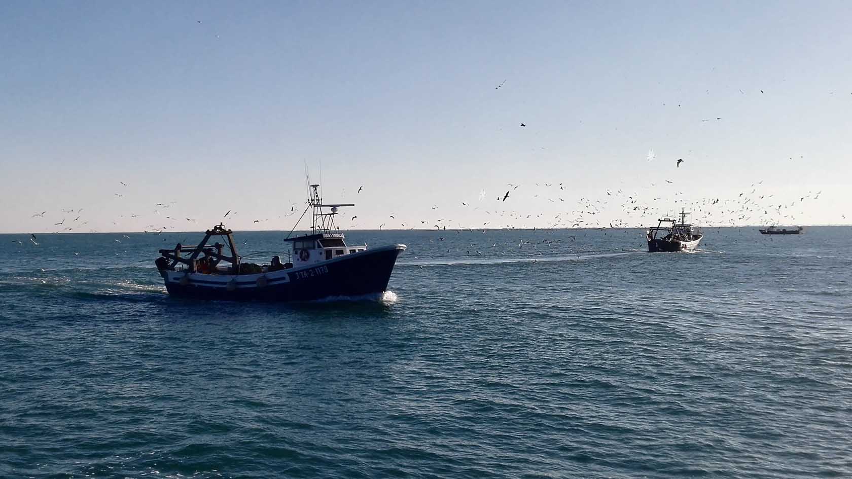 Els pescadors es planten davant de Brussel·les: la flota no sortirà a pescar