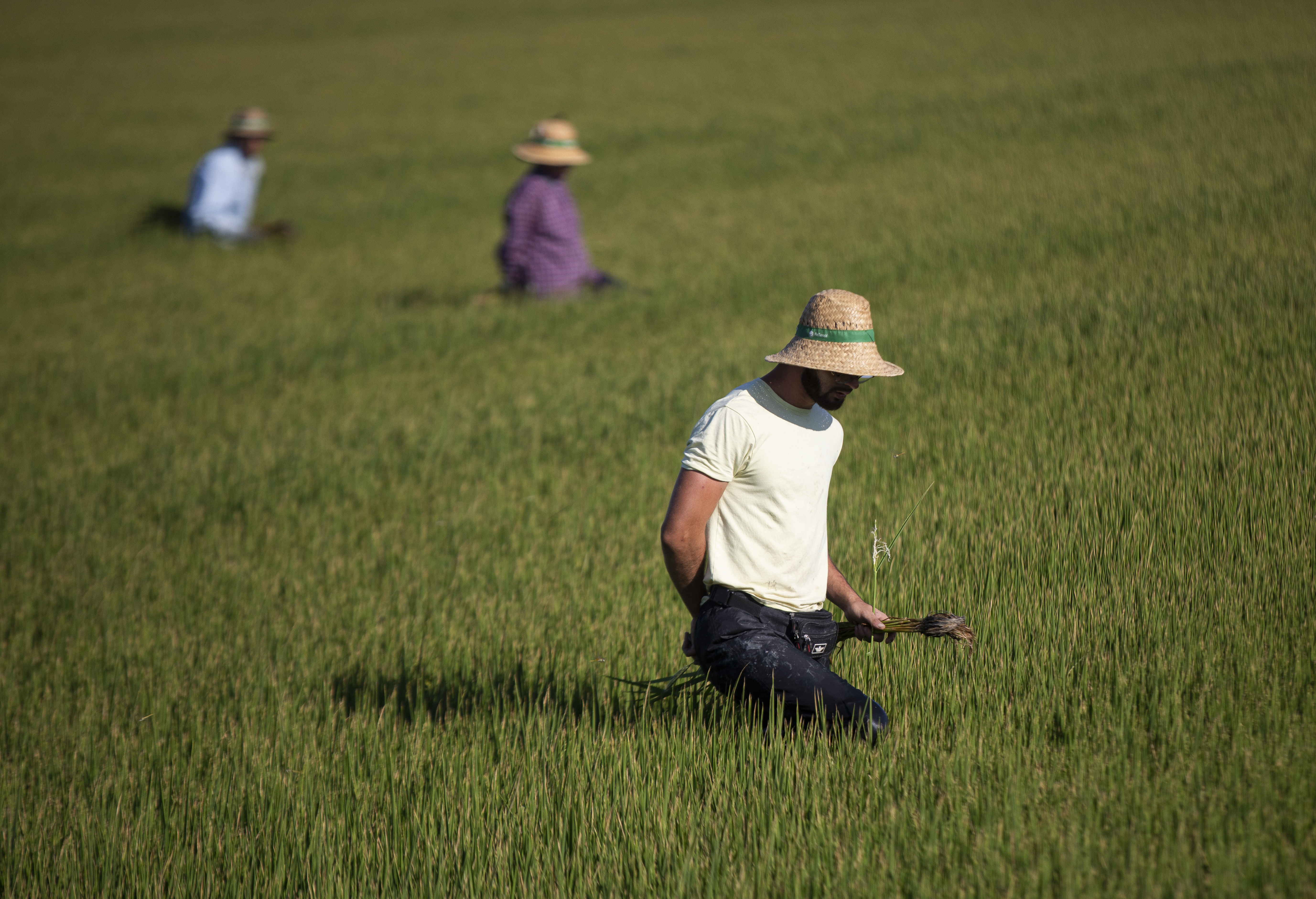 Agricultura publica las 139.756 explotaciones agrarias subvencionadas, en plena protesta del sector