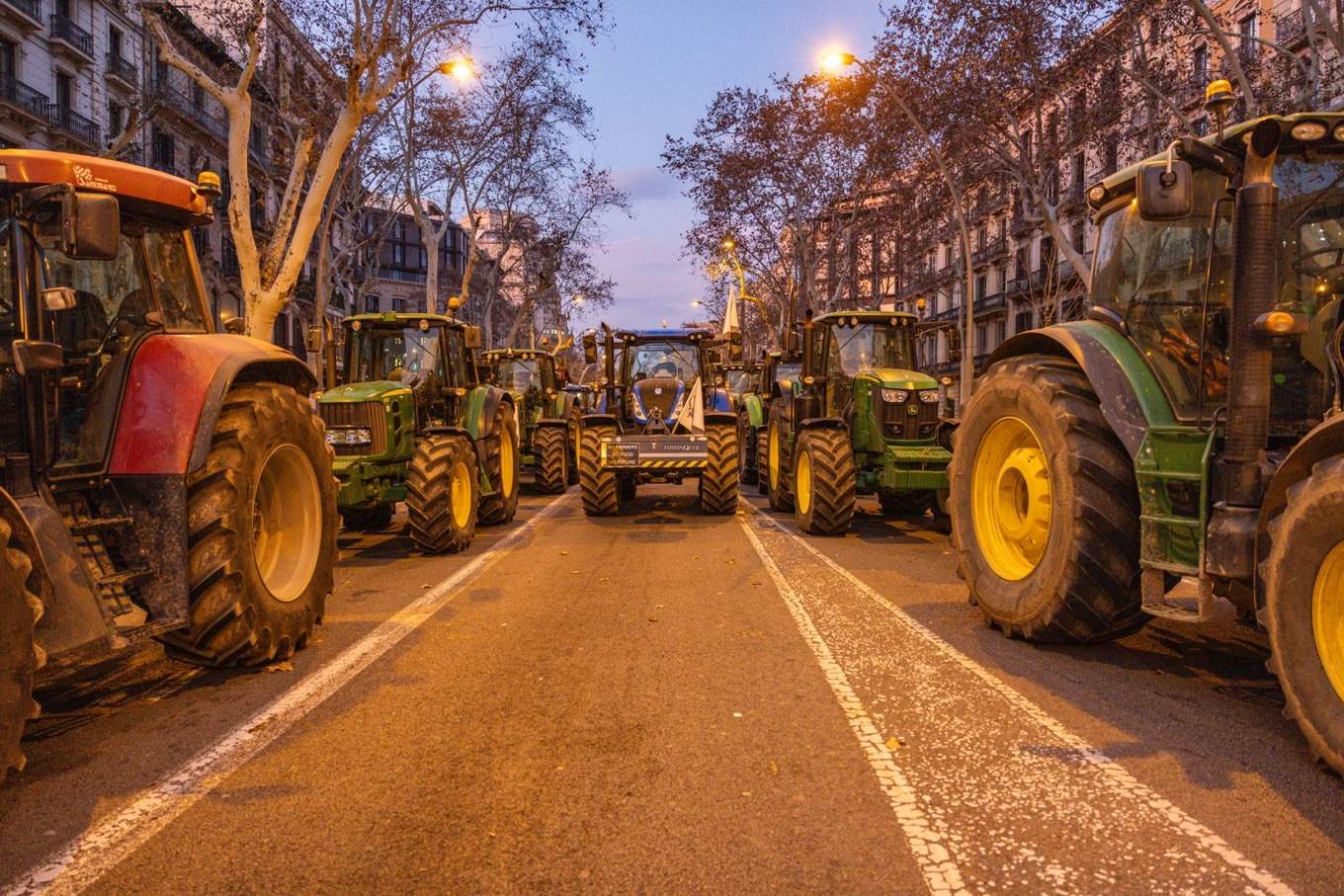 La burocràcia ofega els pagesos: "El que ens costa un gestor fa pujar el preu"