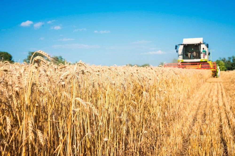 Així es fixen els preus dels aliments (i s'hi especula)