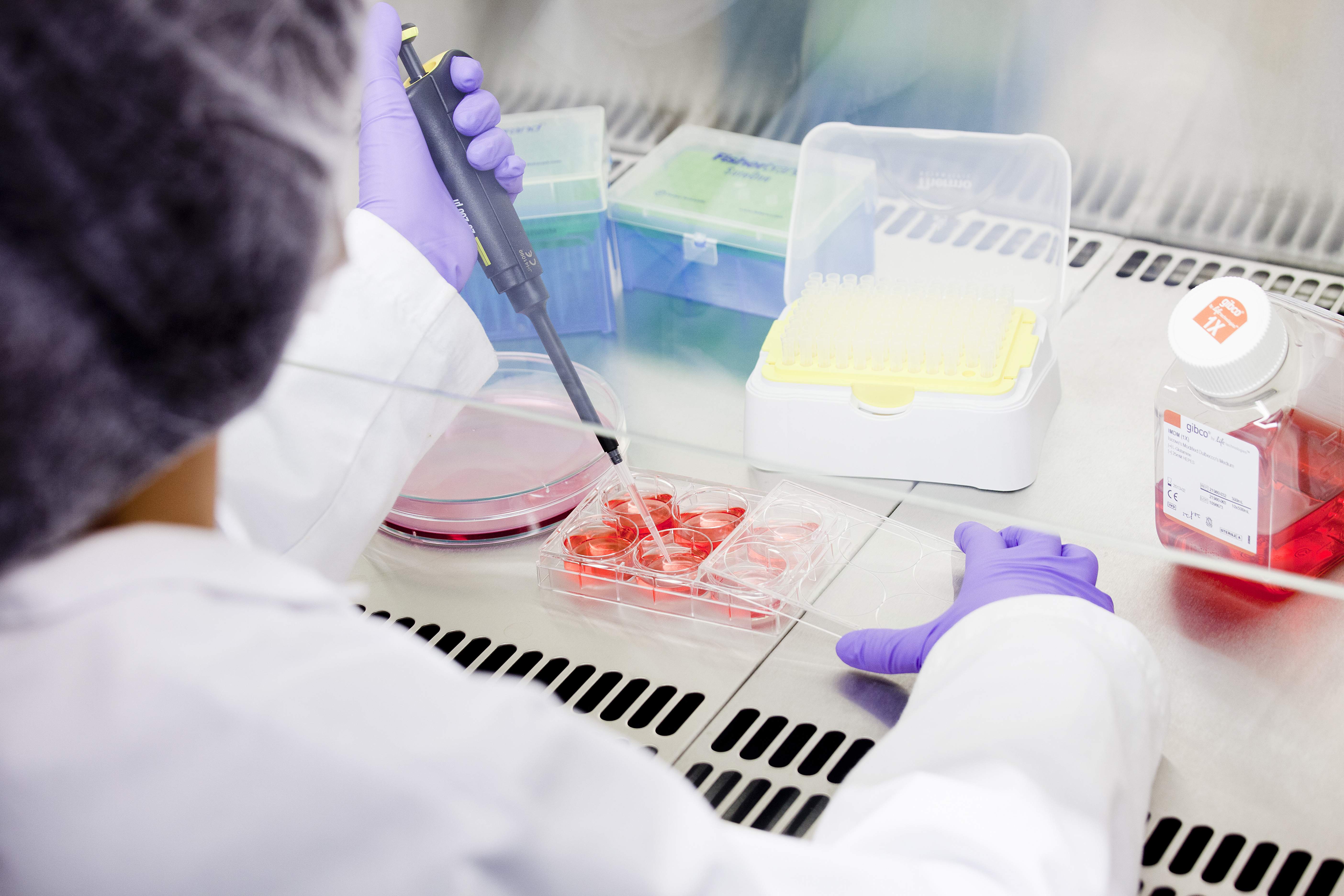 Mesoestetic prevé dar un salto del 24%, hasta 84 millones, con volumen y nuevos productos, en 2024