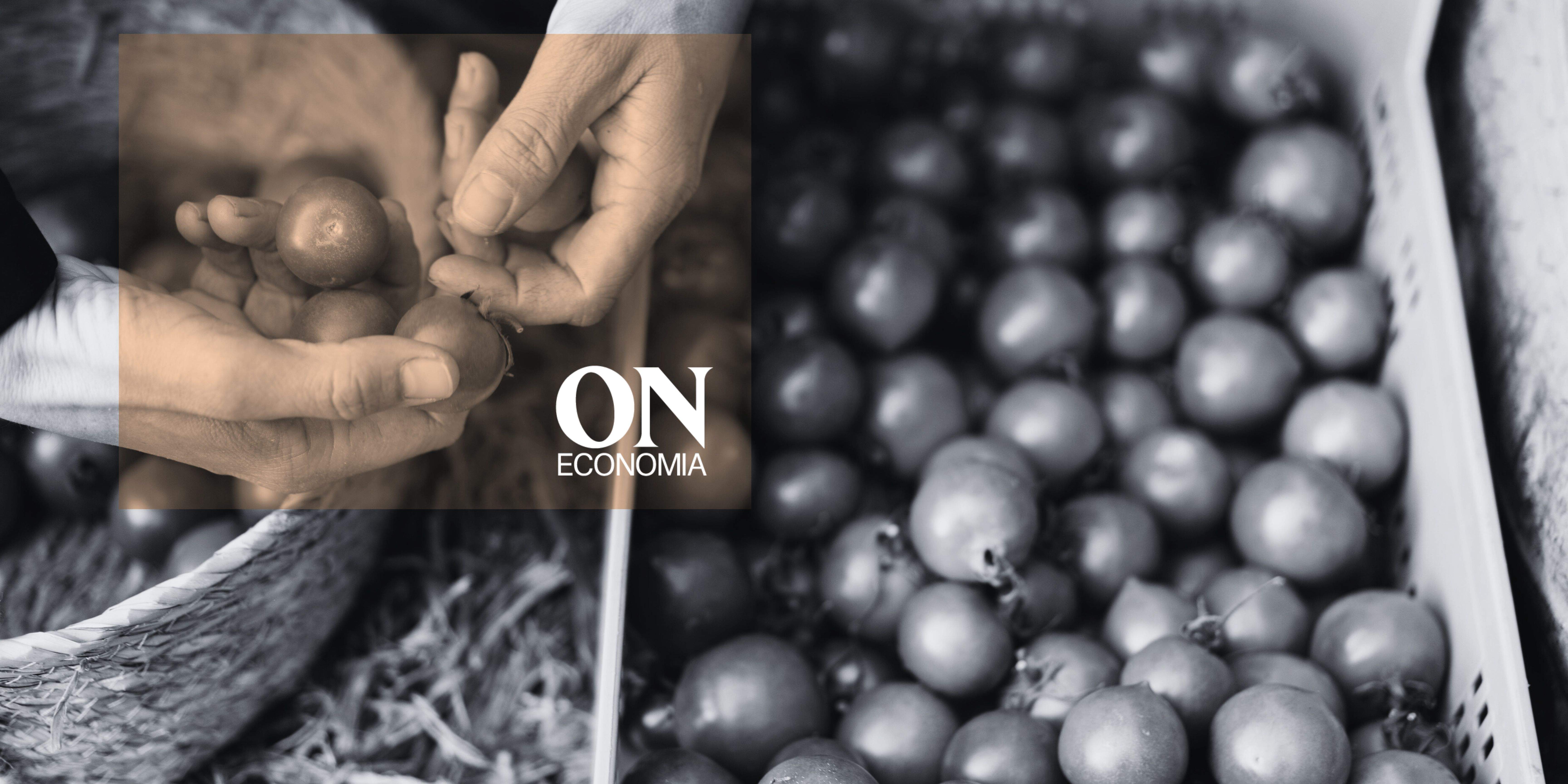 NEWSLETTER LINKEDIN ON ECONOMIA (2)