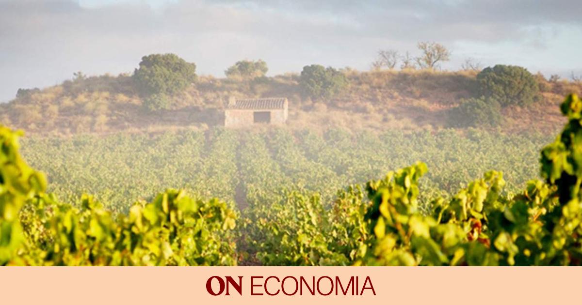 La familia Hevia (ex de Freixenet) lidera las ventas del cava valenciano