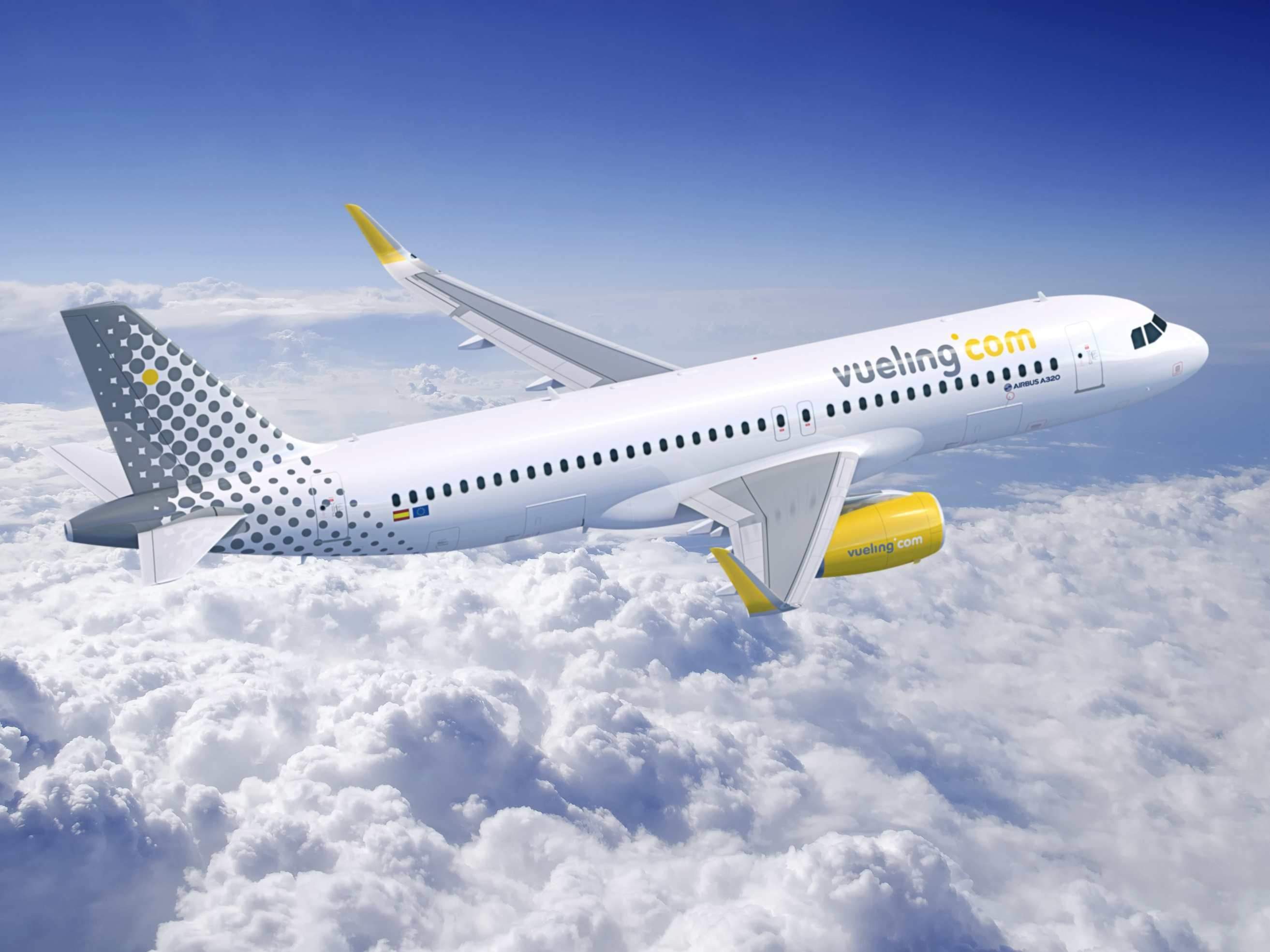 Vueling, multada per les condicions d'accés al seu web per als discapacitats