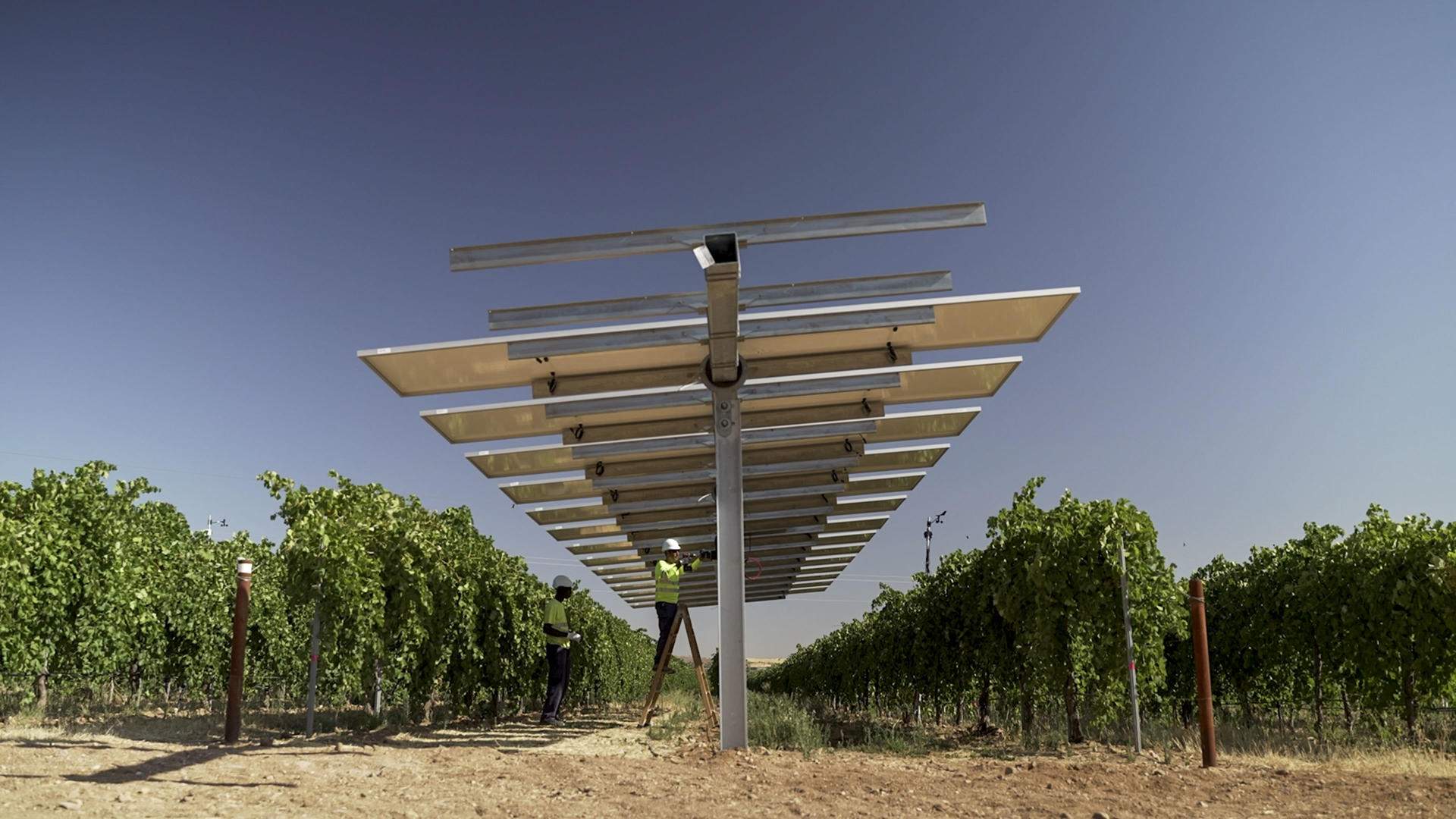 Què és l'agrovoltaica i com Iberdrola la utilitza per generar energia entre vinyes a Toledo