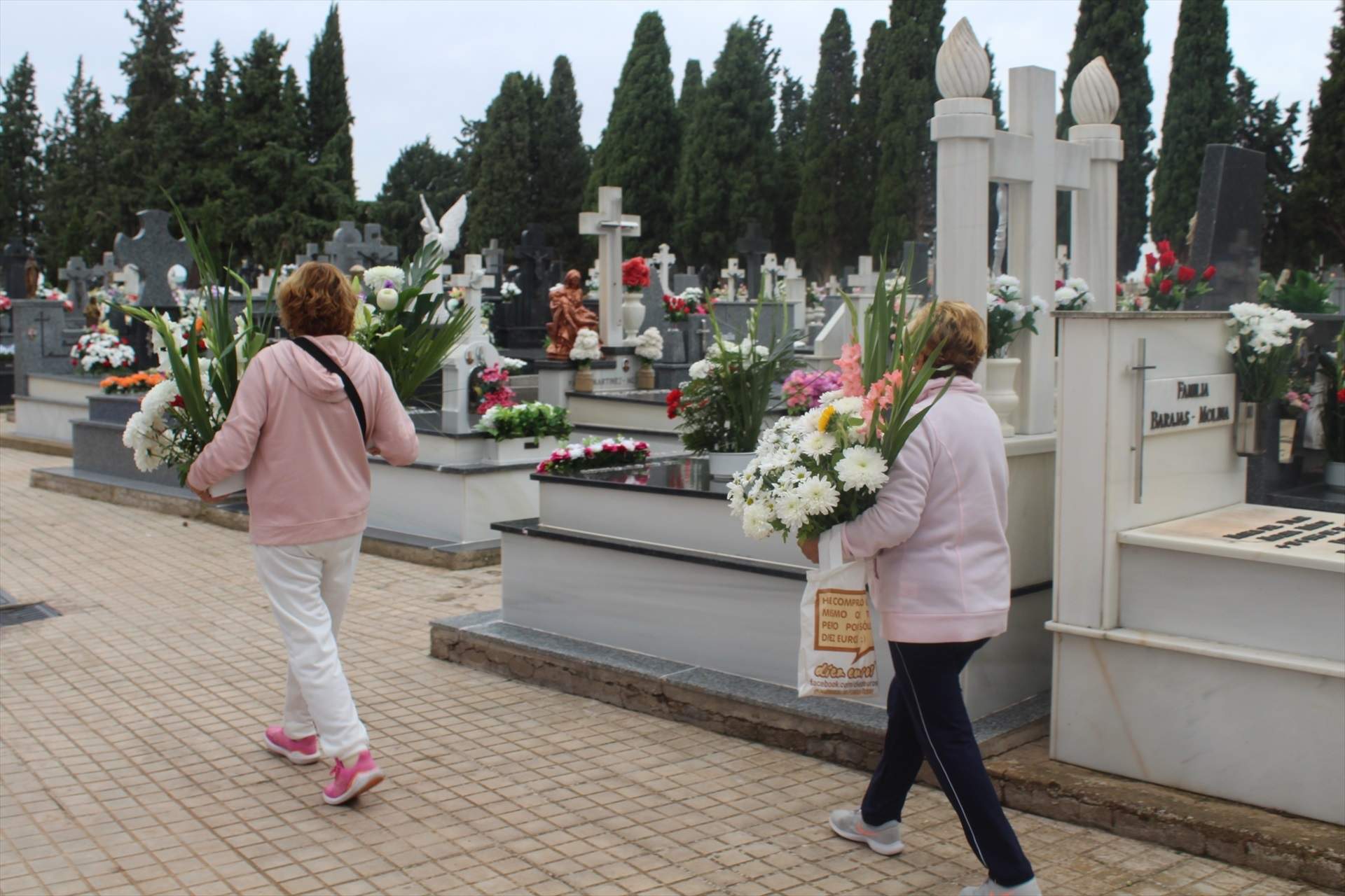 EuropaPress 5546373 cementerio alcazar san juan (1)