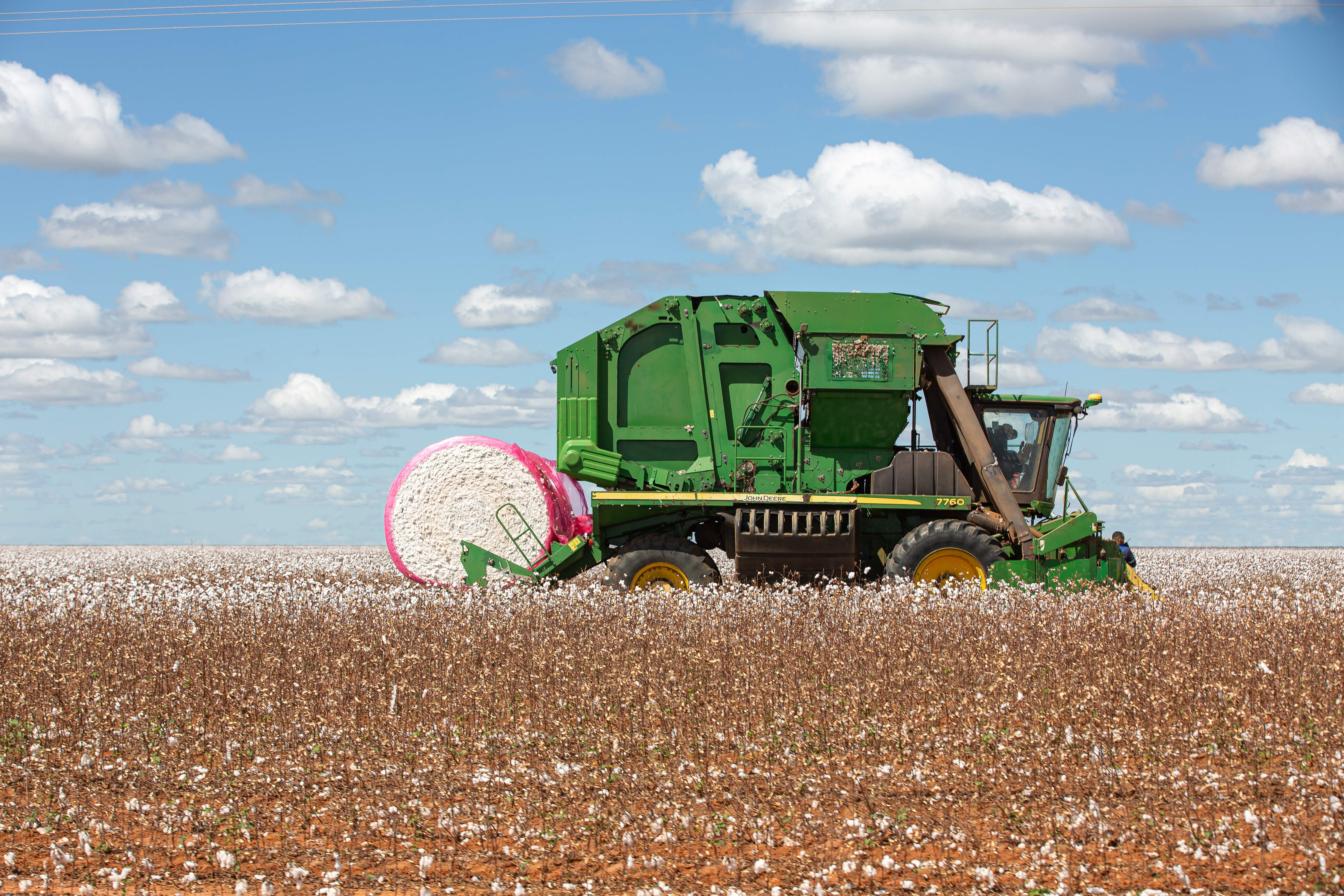 Cotton harvest at Horita farm on Estrondo estate, Bahia, Brazil, June 2023