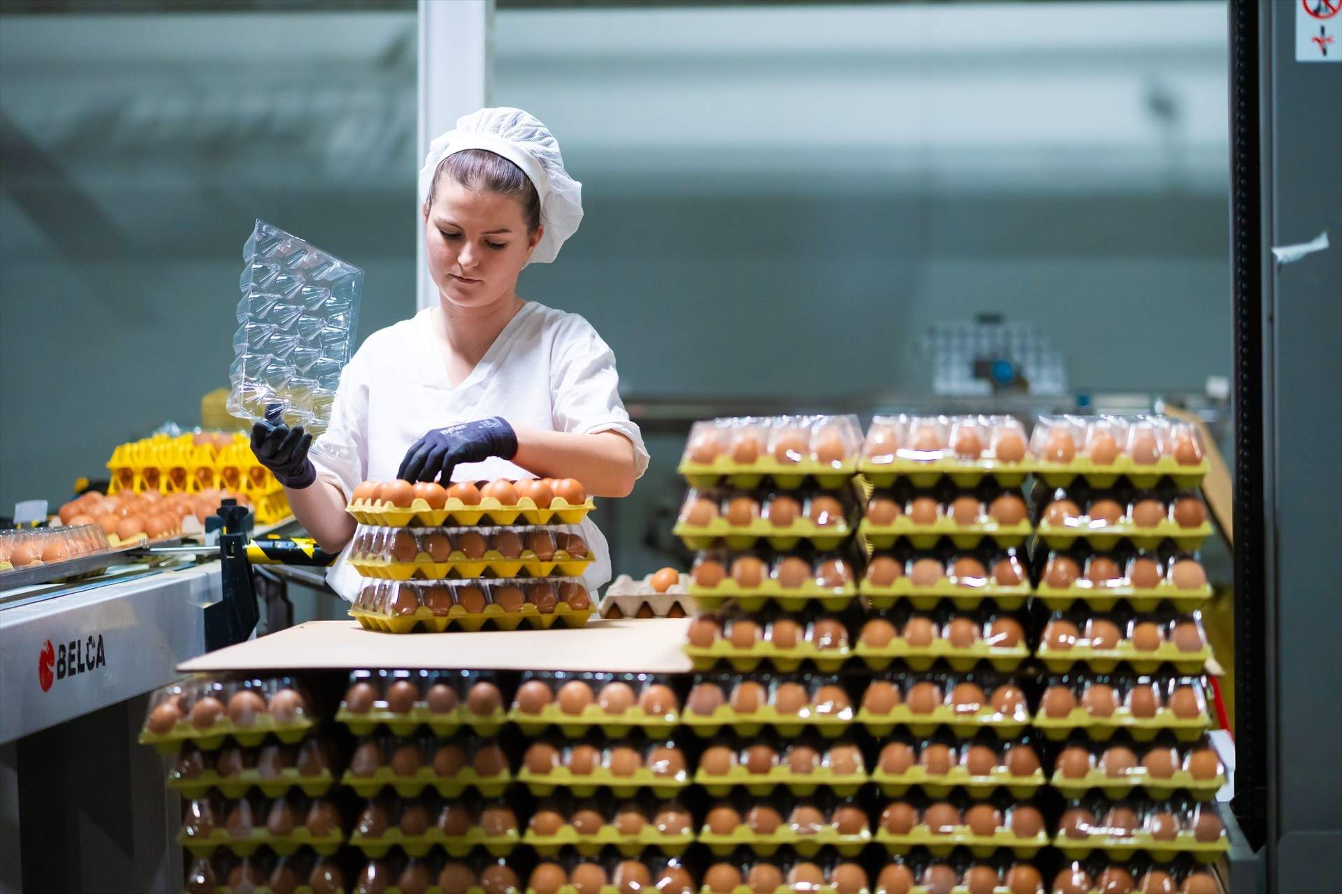 Consumo de huevos en España / EP