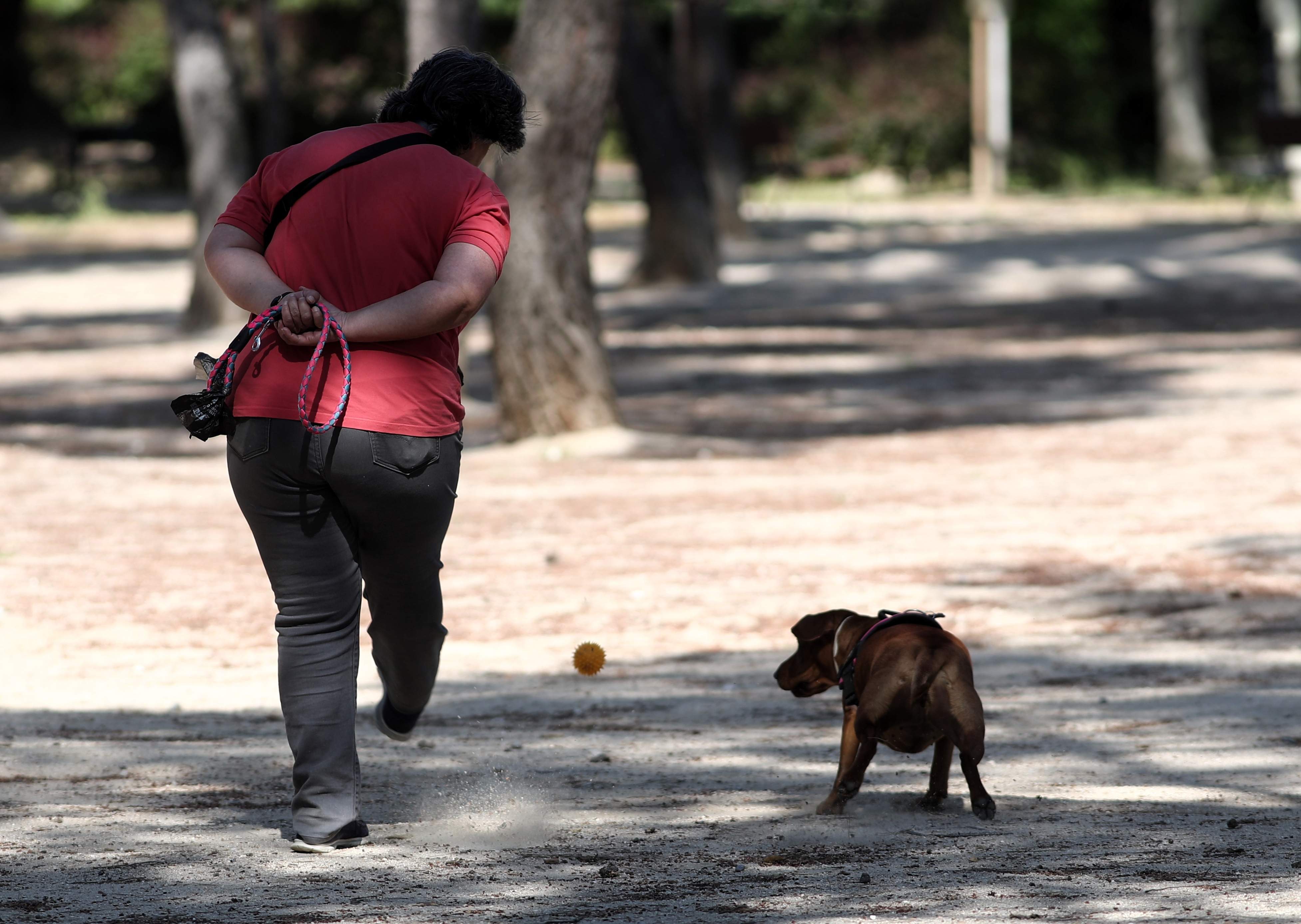 EuropaPress 3054990 mujer pasea perro parque calero distrito ciudad lineal capital ayuntamiento
