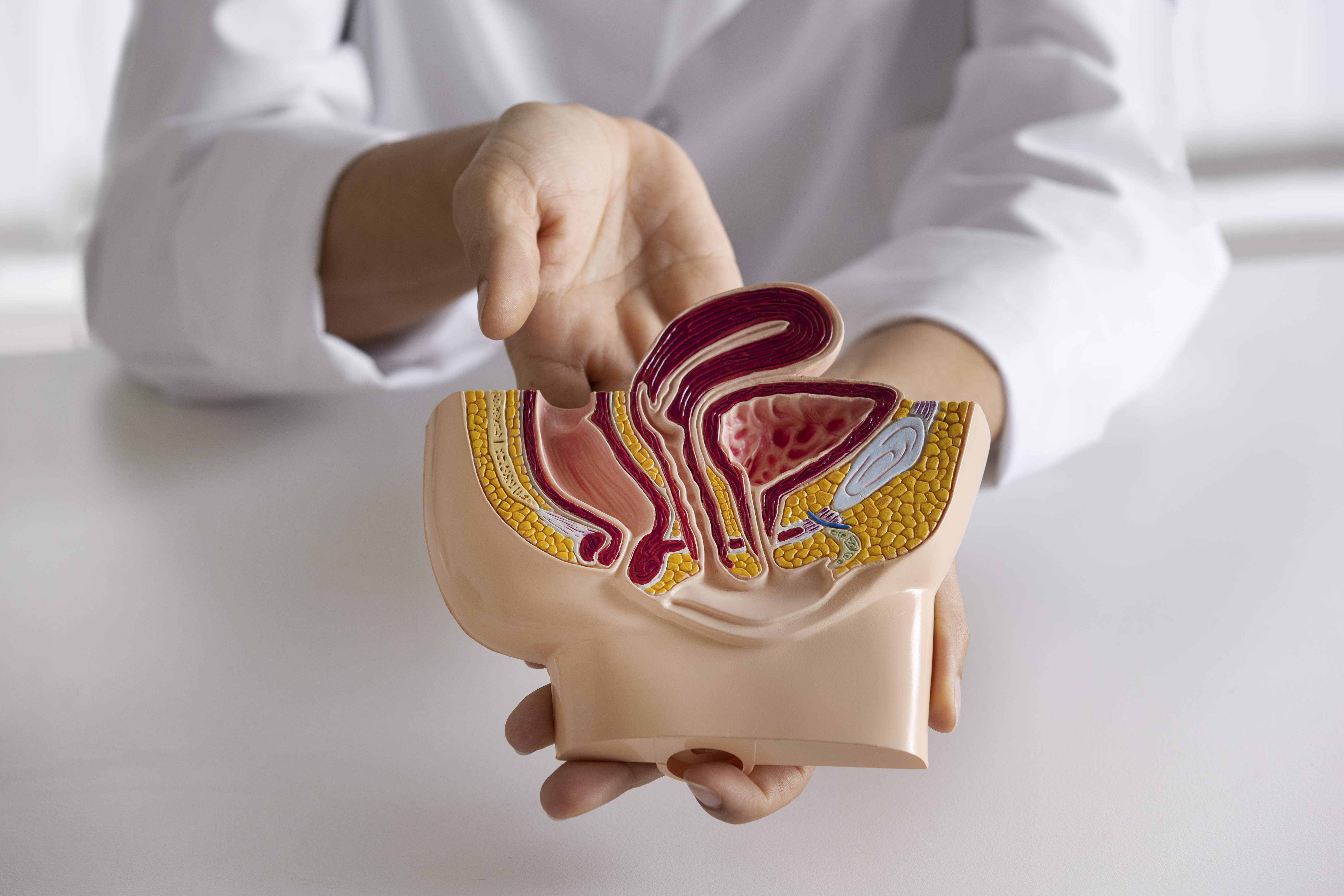 Una empresa valenciana crea una IA que detecta el cáncer de próstata en fase previa