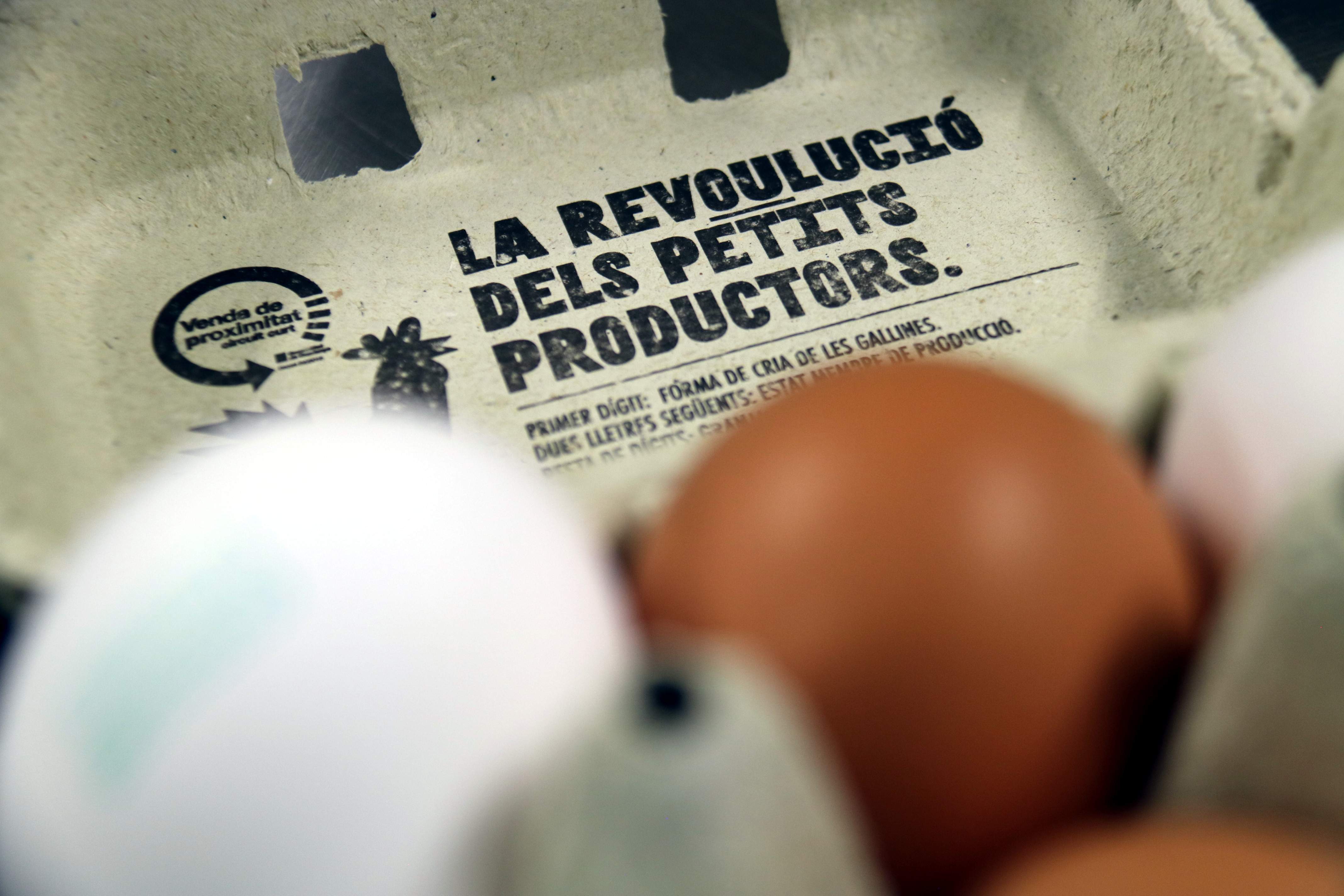 Siete pequeños productores de huevos ecológicos de Girona y Barcelona se unen en una cooperativa