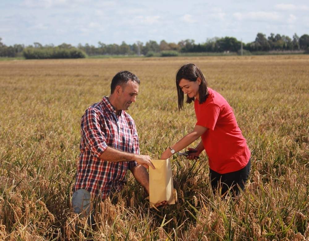Kellogg's fabrica ya más del 70% de los cereales en la planta de Tarragona