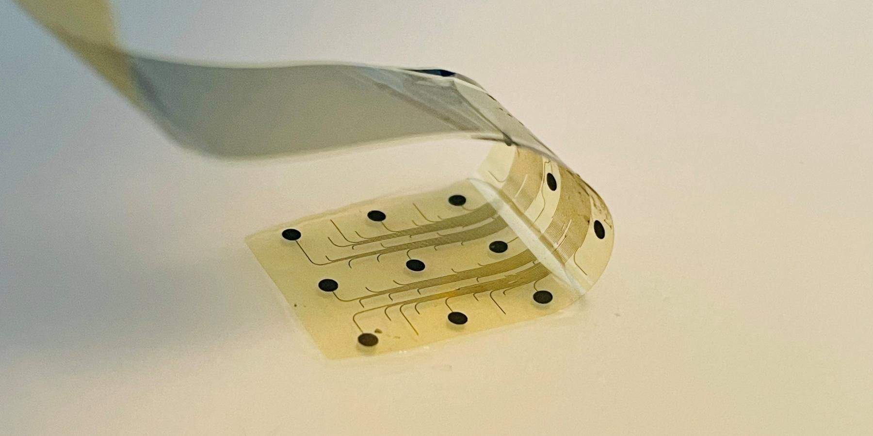 El Govern entra con 3 millones en Inbrain Neuroelectronics, que hace implantes cerebrales