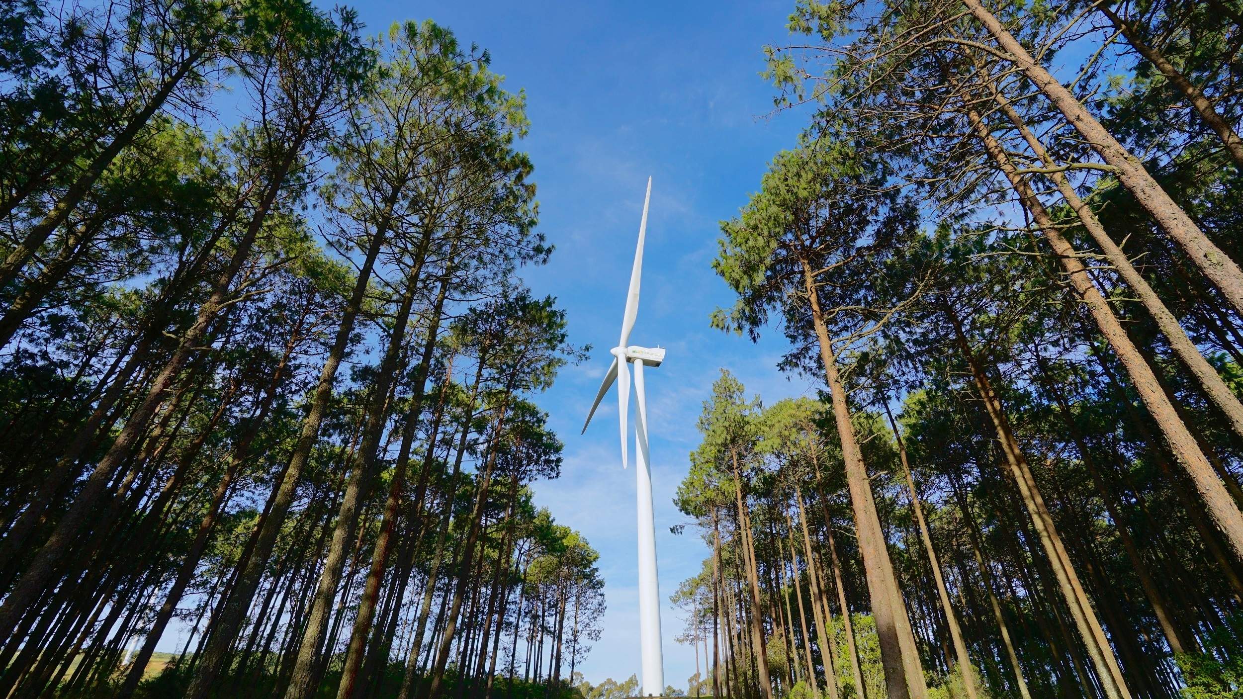 Un parque eólico de Iberdrola. EP