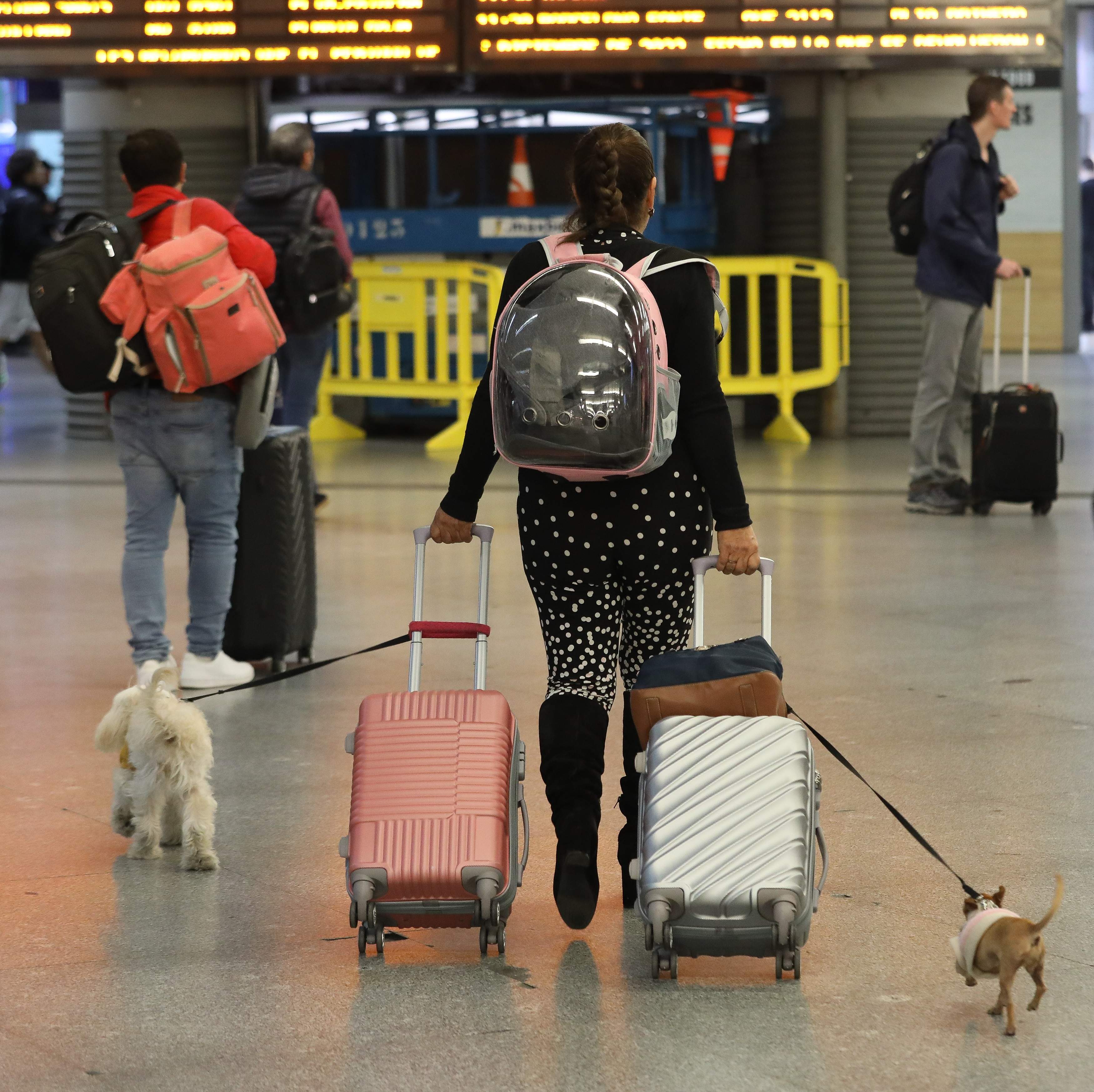 Renfe amplia les rutes i destinacions a les quals es pot viatjar amb gossos