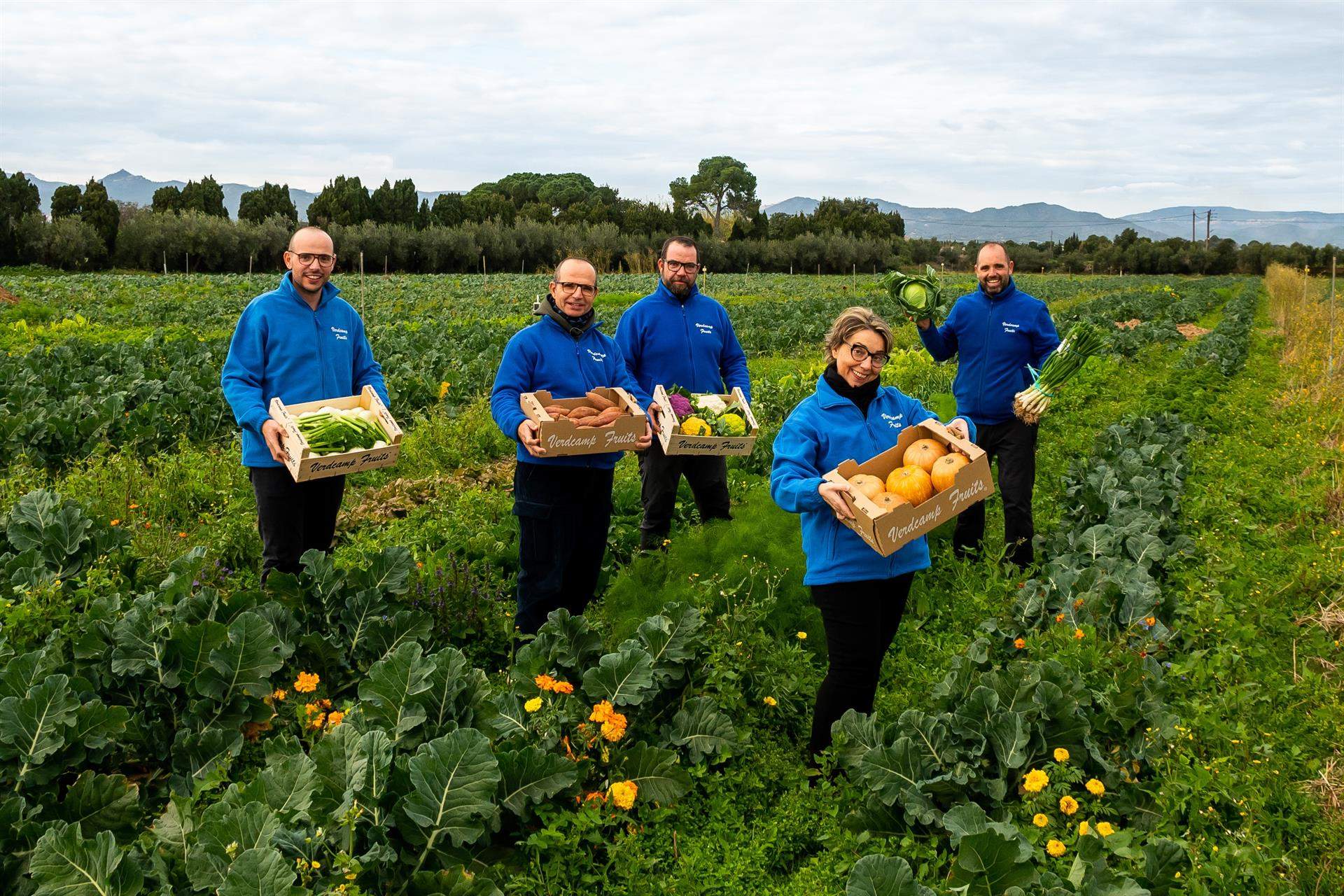 Verdcamp Fruits cultiva la mejor col para los fogones de los hermanos Roca Verdcamp Fruits cultiva la mejor col para los fogones de los hermanos Roca