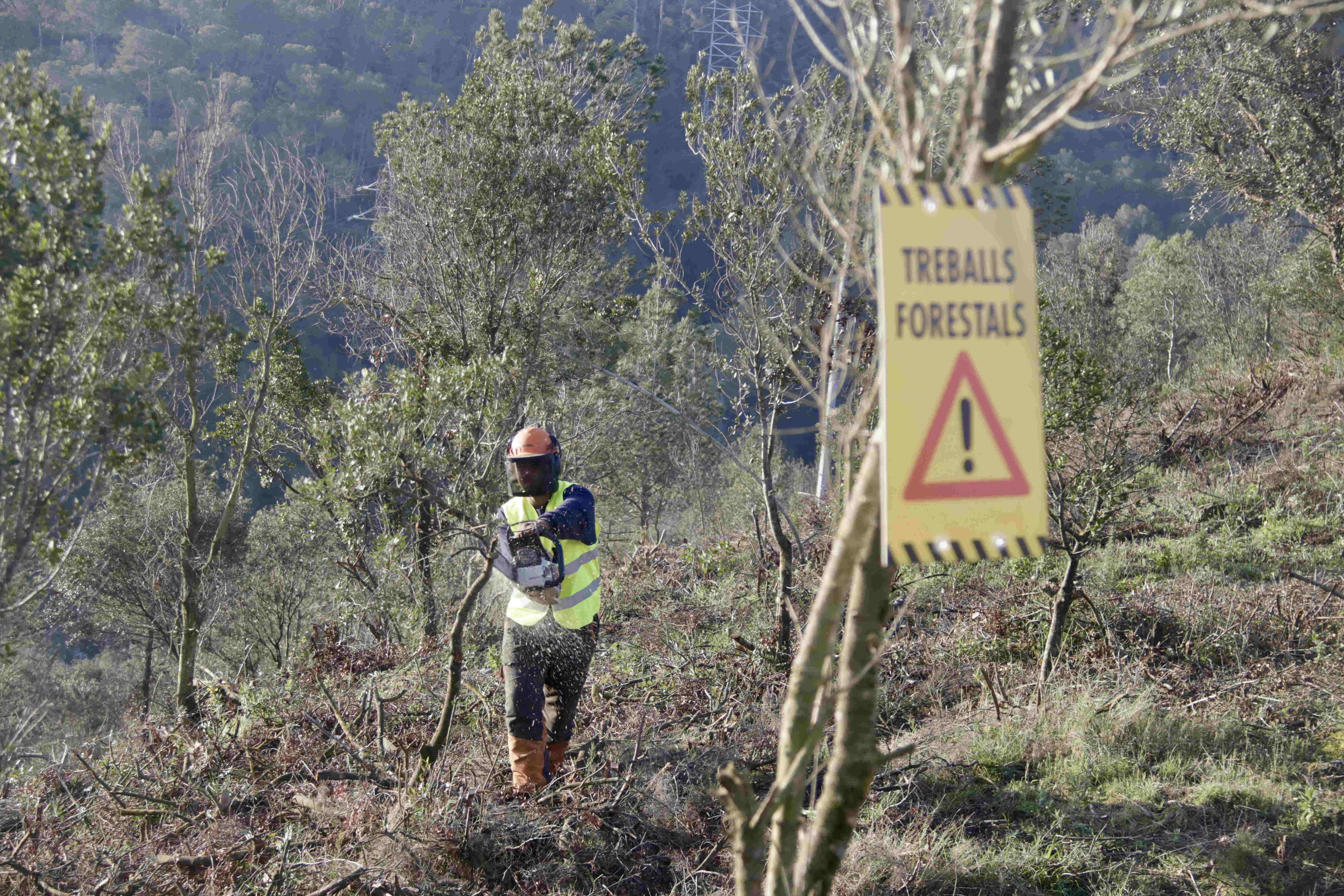 Catalunya tiene 3 empleados autonómicos por cada 100 habitantes, el nivel más bajo de España