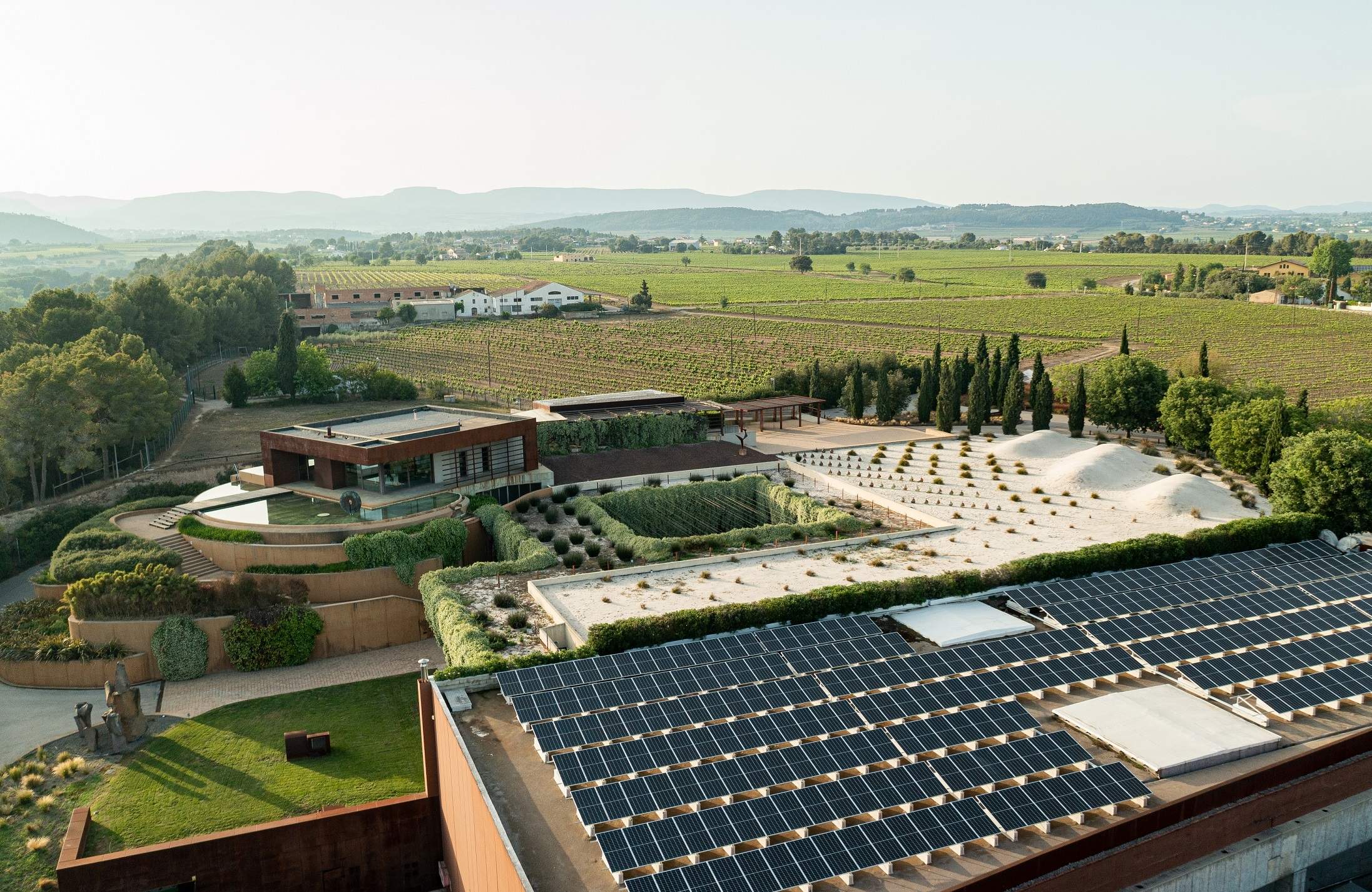 Vista general de la Finca La Plana, de la Família Torres, a Pacs del Penedès (Barcelona)