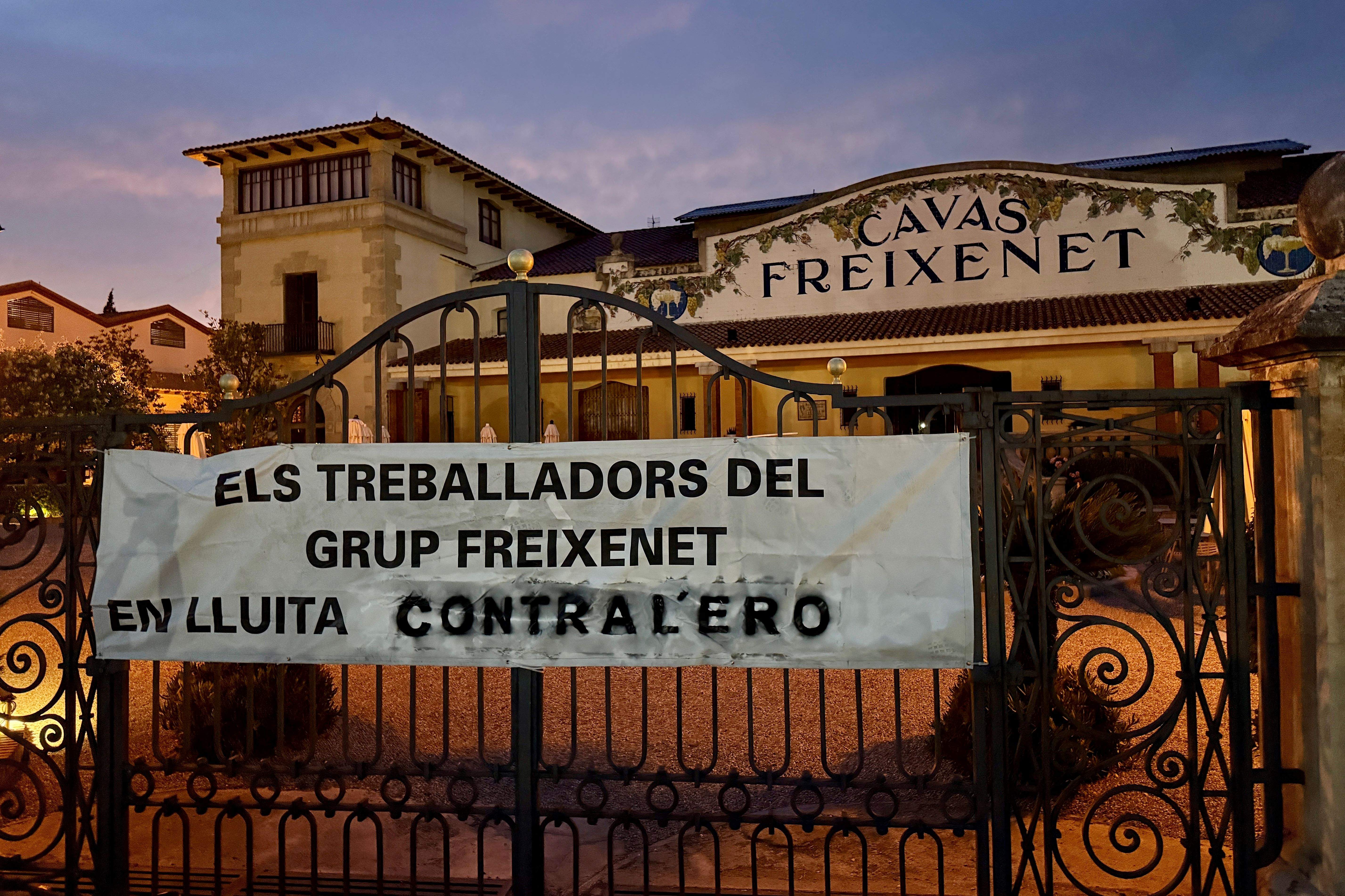 freixenet ero acn
