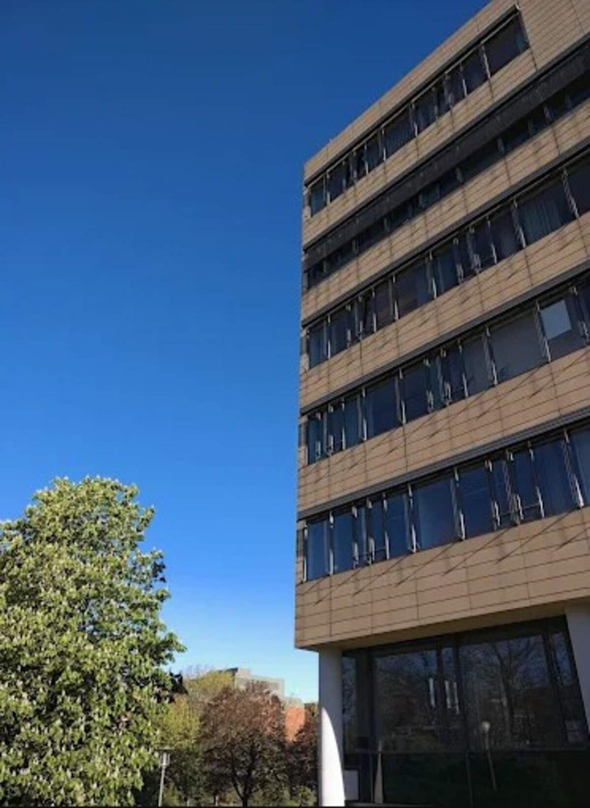 Sandra Ortega (Inditex) paga 77 milions per la seu de Telefónica a Alemanya