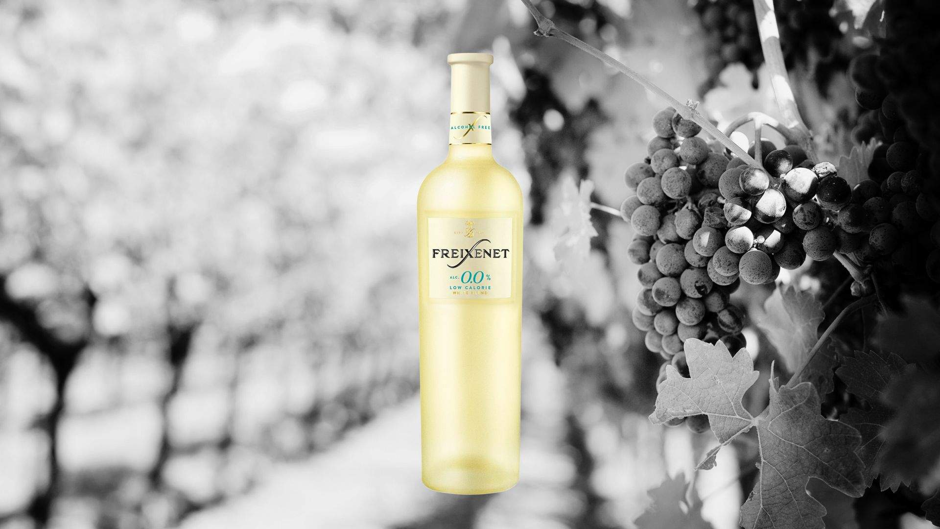 Freixenet treu a la venda un vi sense alcohol ni calories i vegà