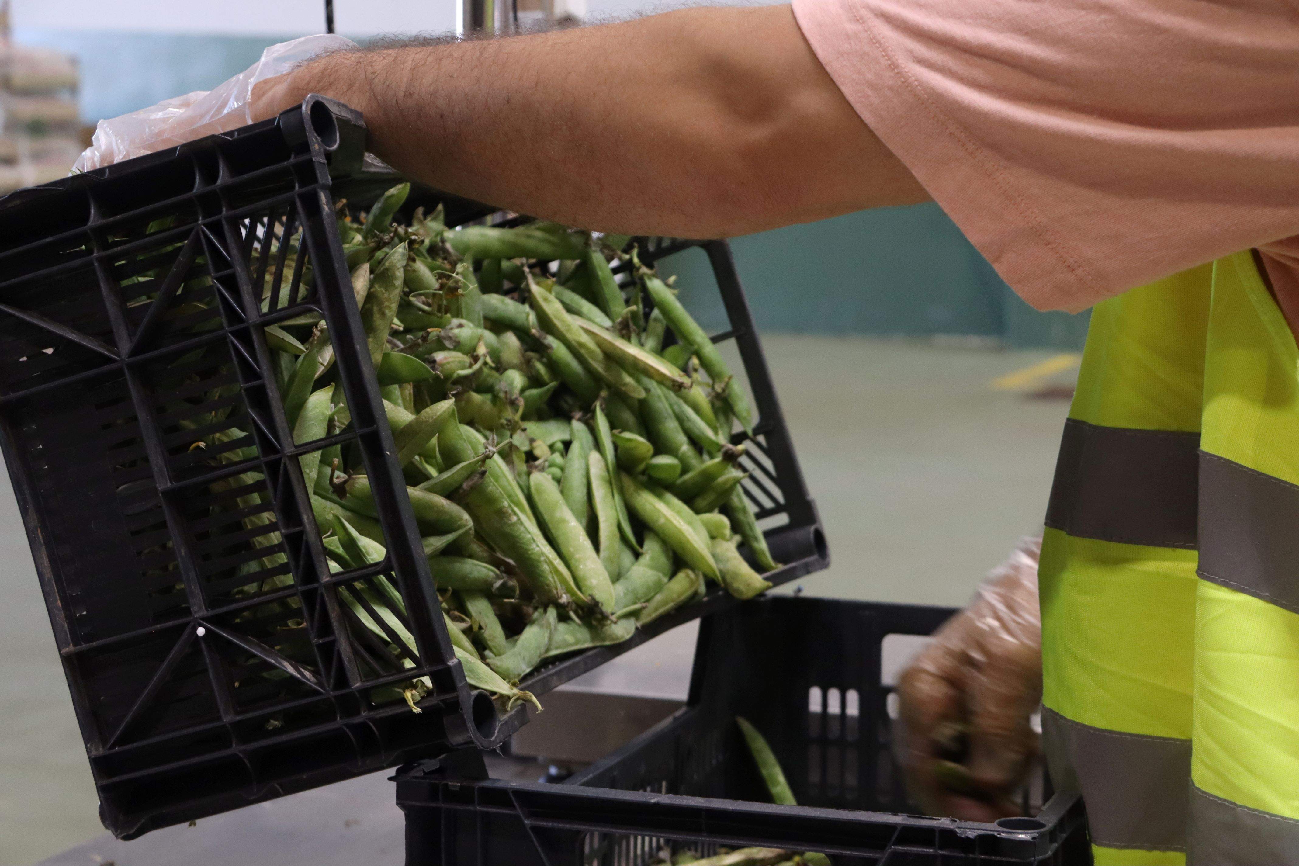 Només el 15% dels productes que es comercialitzen a Mercabarna provenen de Catalunya
