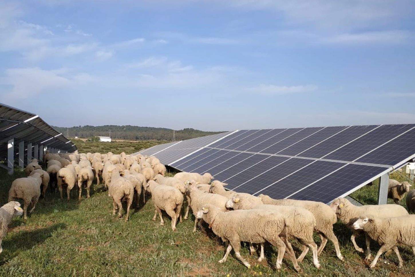 Unió de Pagesos presenta al·legacions a 22 projectes fotovoltaics d’arreu de Catalunya
