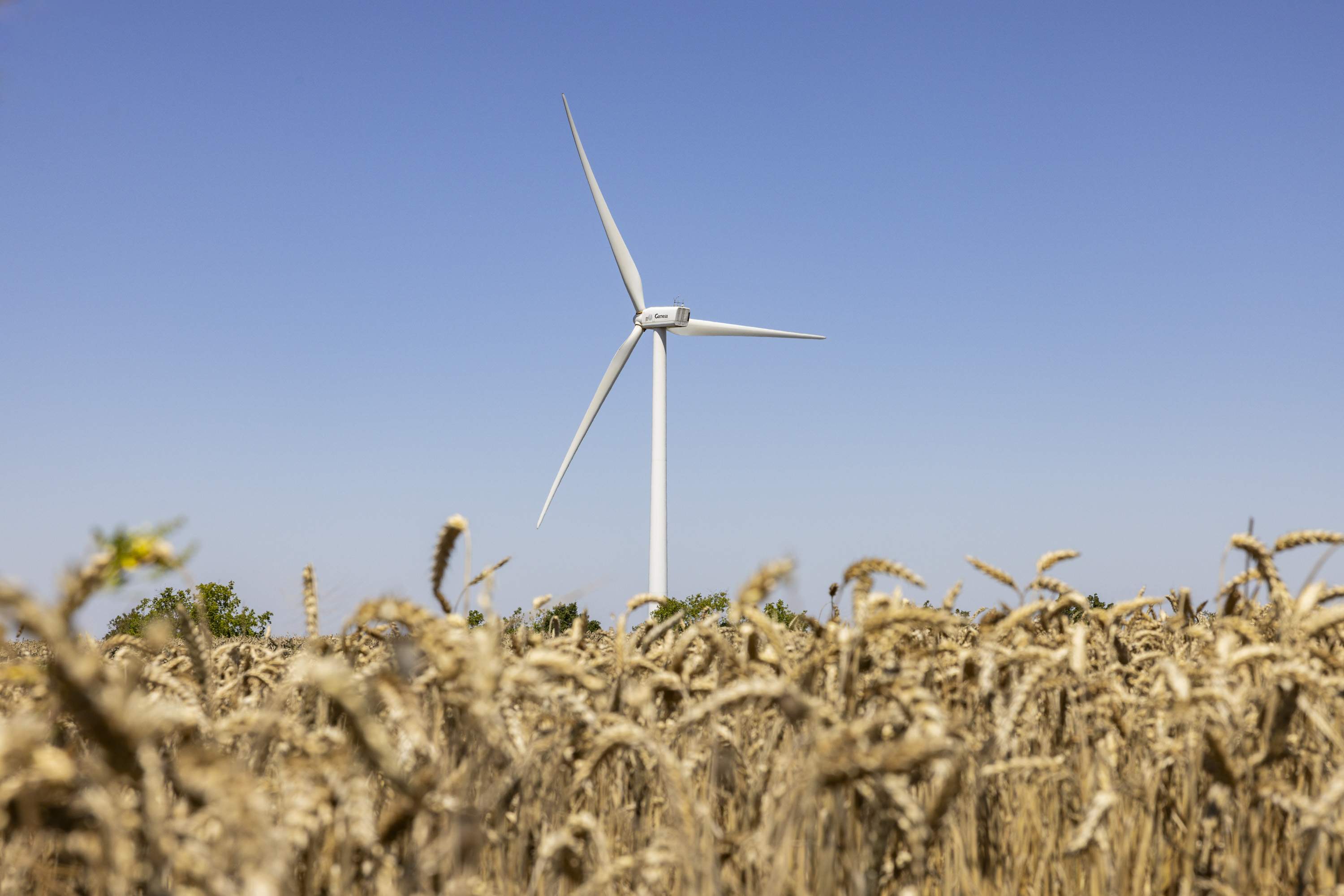 La energía eólica, desde dentro: ¿Cómo puede el viento dar electricidad a miles de familias?