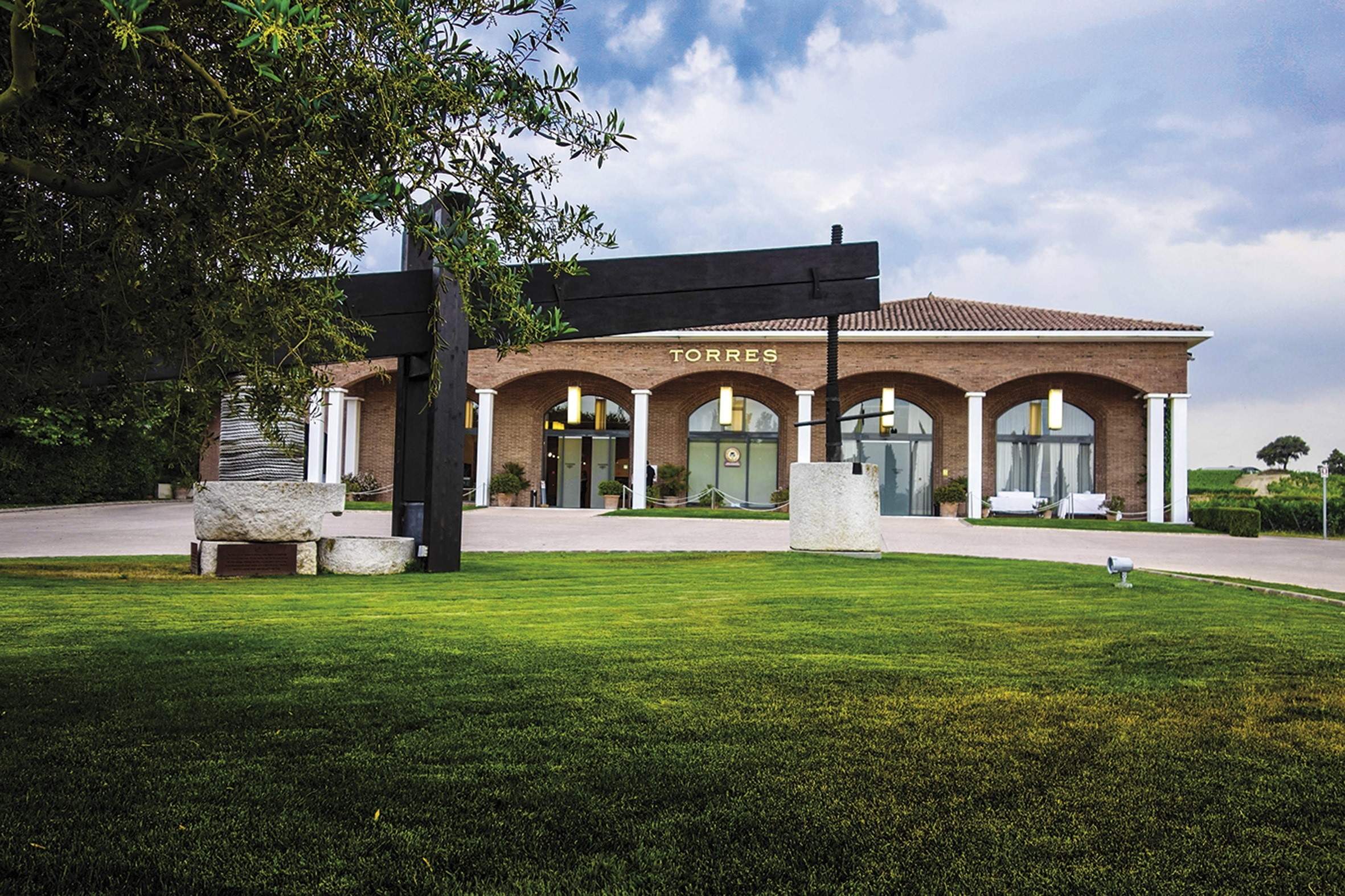 bodega familia torres