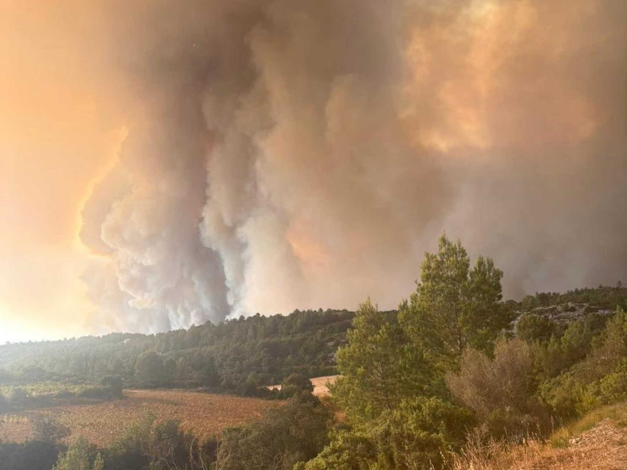 Com prevenir incendis amb IA? 25.000 hectàrees a Espanya s'han cremat en un any