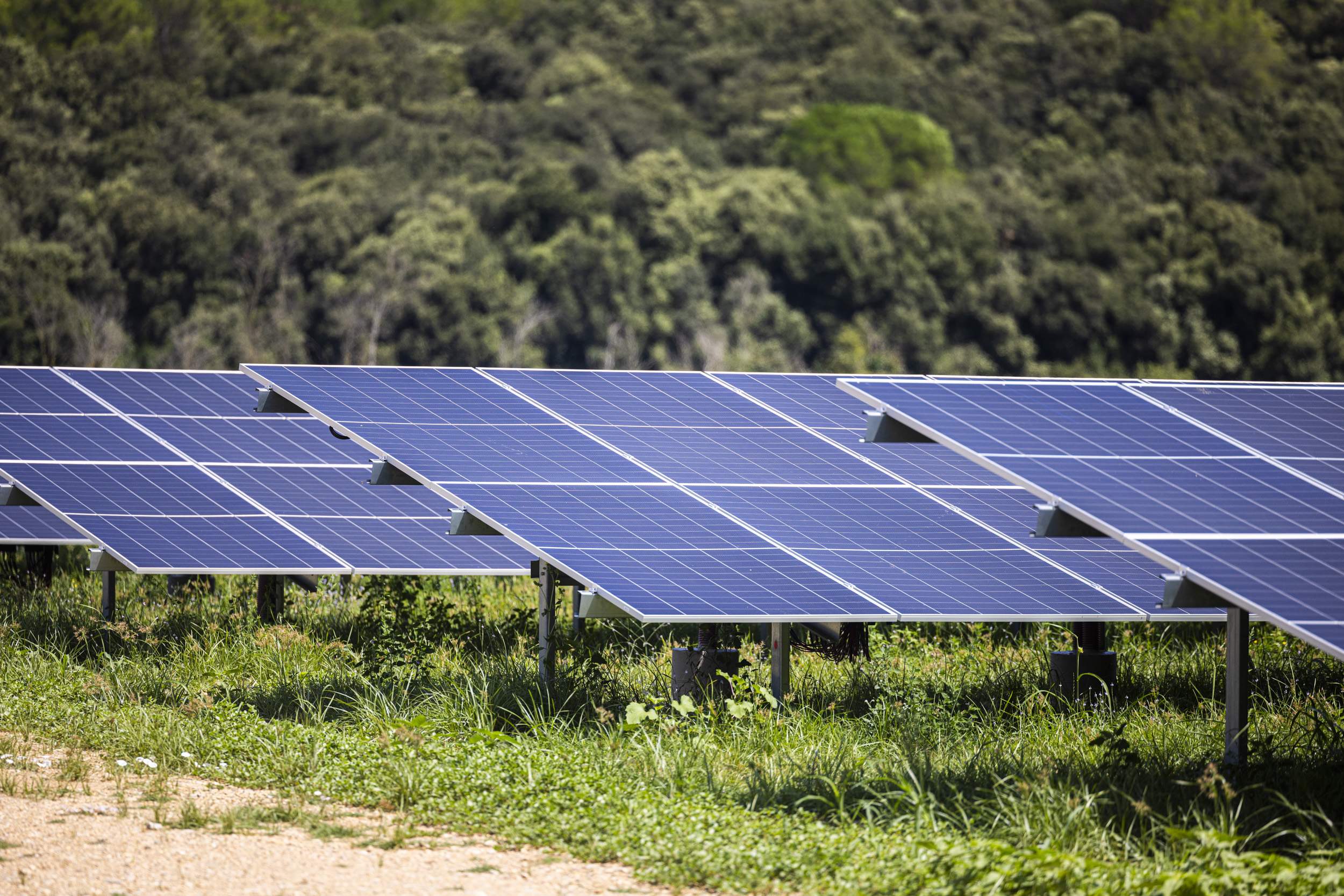 El Govern obliga a 5 comarcas catalanas a multiplicar por 10 sus renovables