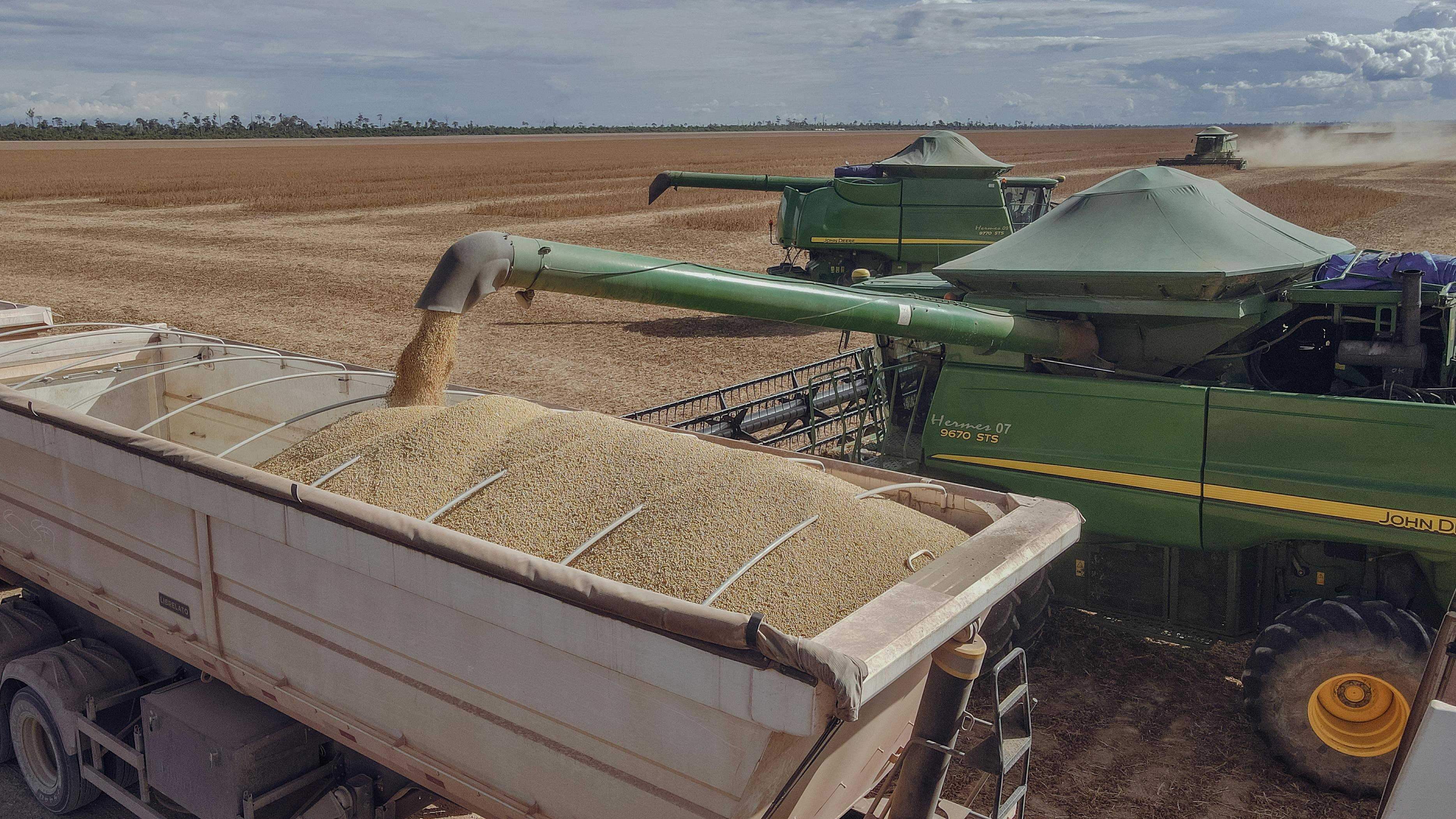 Trump sol·licita a la Xina que compri soja als agricultors dels EUA