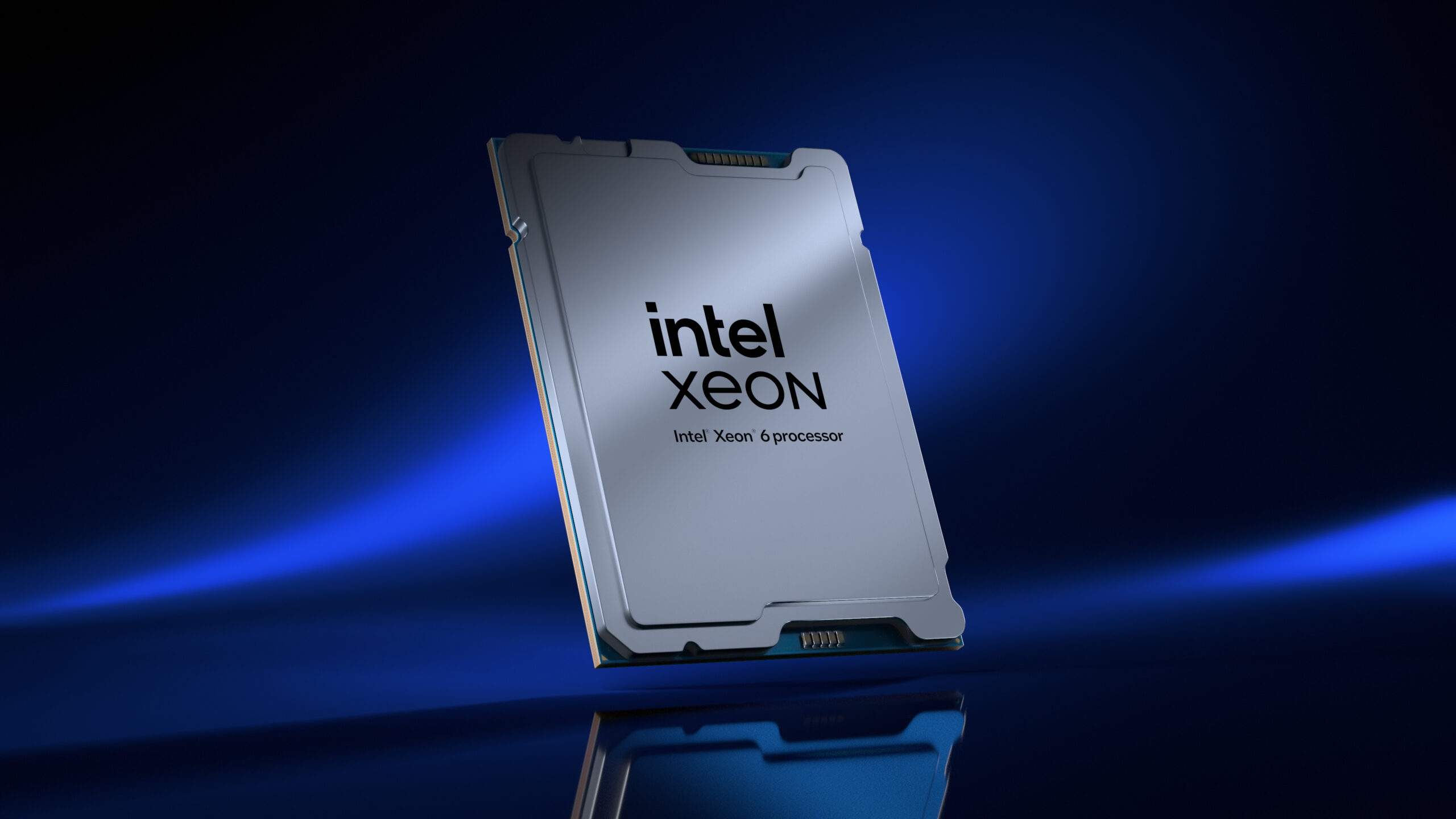 Trump desvela: "EE.UU. controla el 10% de Intel" Trump desvela: "EE.UU. controla el 10% de Intel"