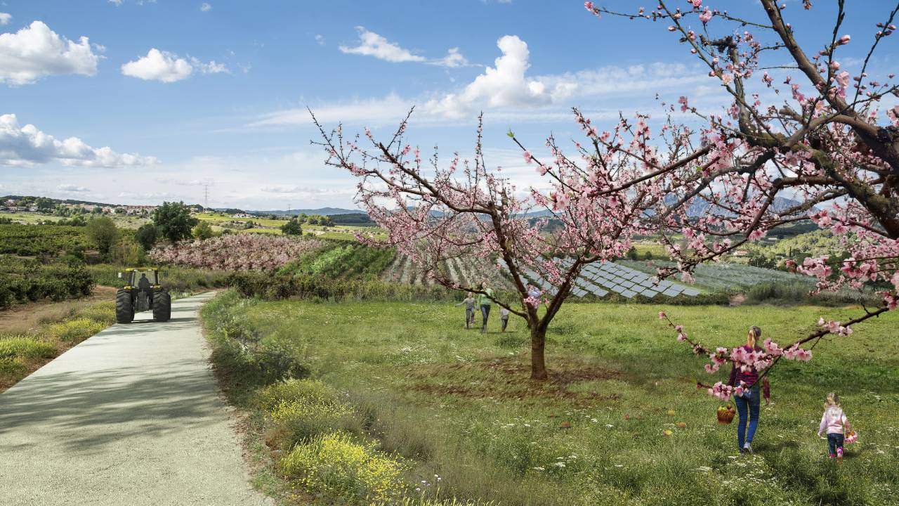 Ametller Origen supera los obstáculos de los ecologistas y reanuda las obras del Agroparc Penedès