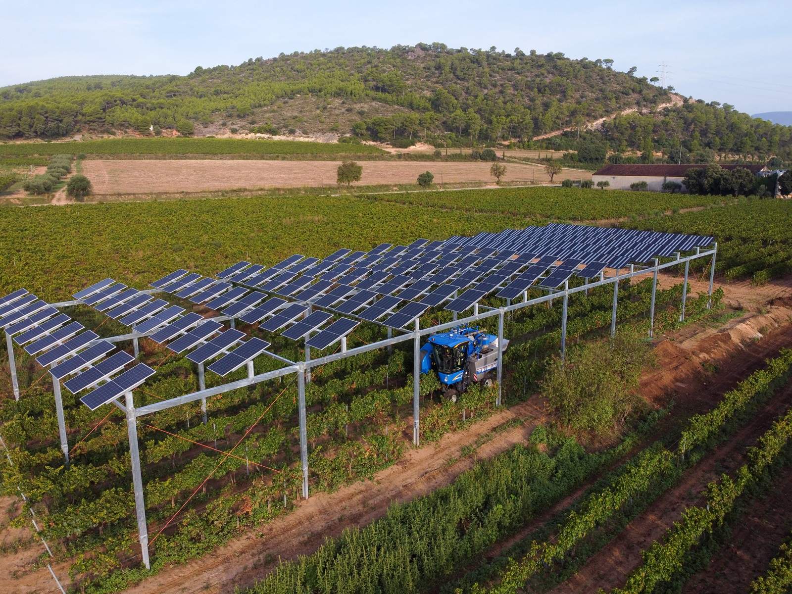 Família Torres té una planta pilot agrovoltaica en una vinya de la finca Mas Rabell de Sant Martí Sarroca.