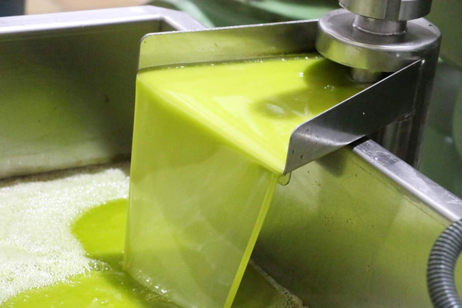 El precio en origen del aceite de oliva virgen cae a 3,6 euros por litro, con 290.000 toneladas