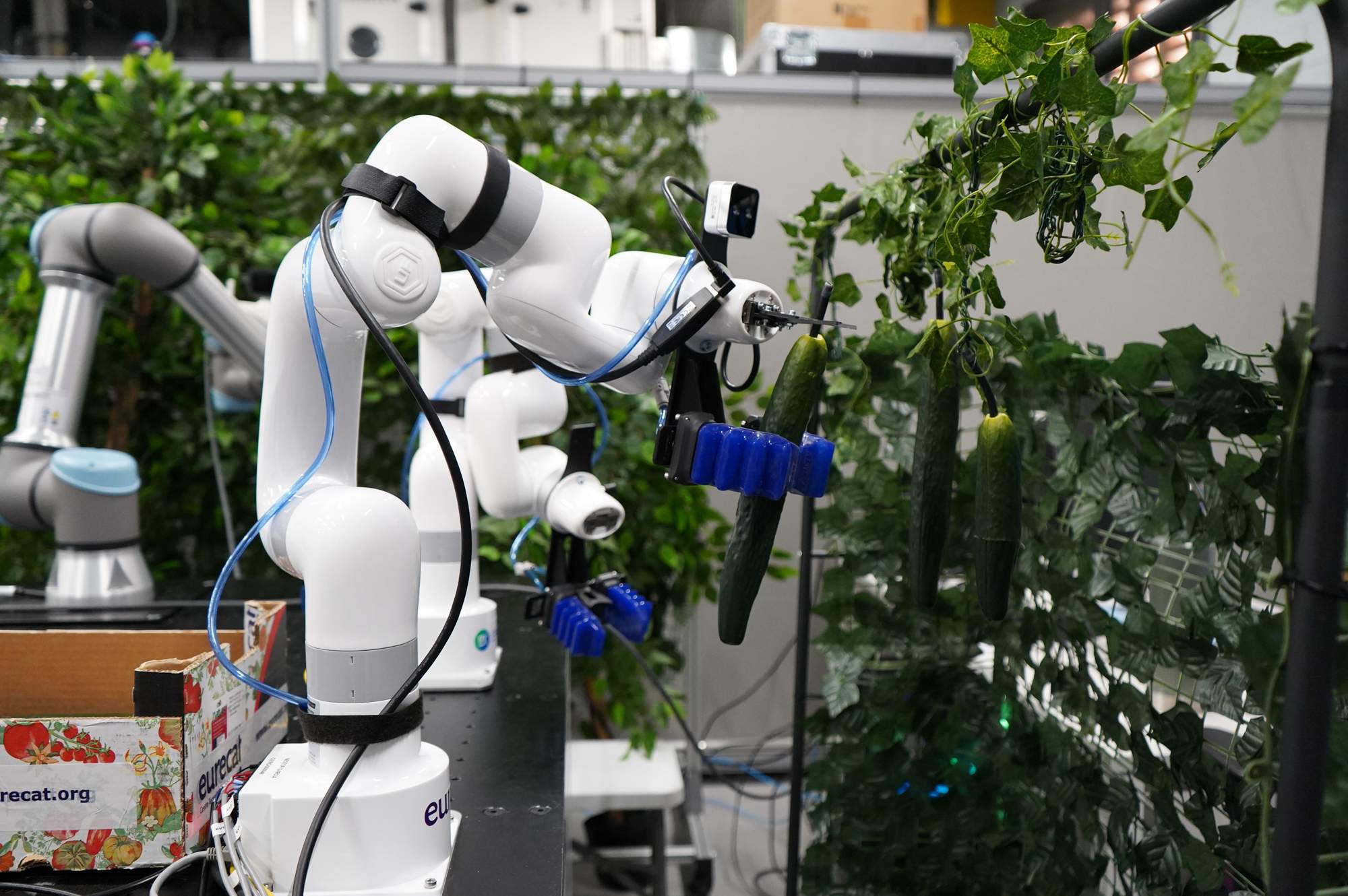 Robótica colaborativa: inteligencia aumentada